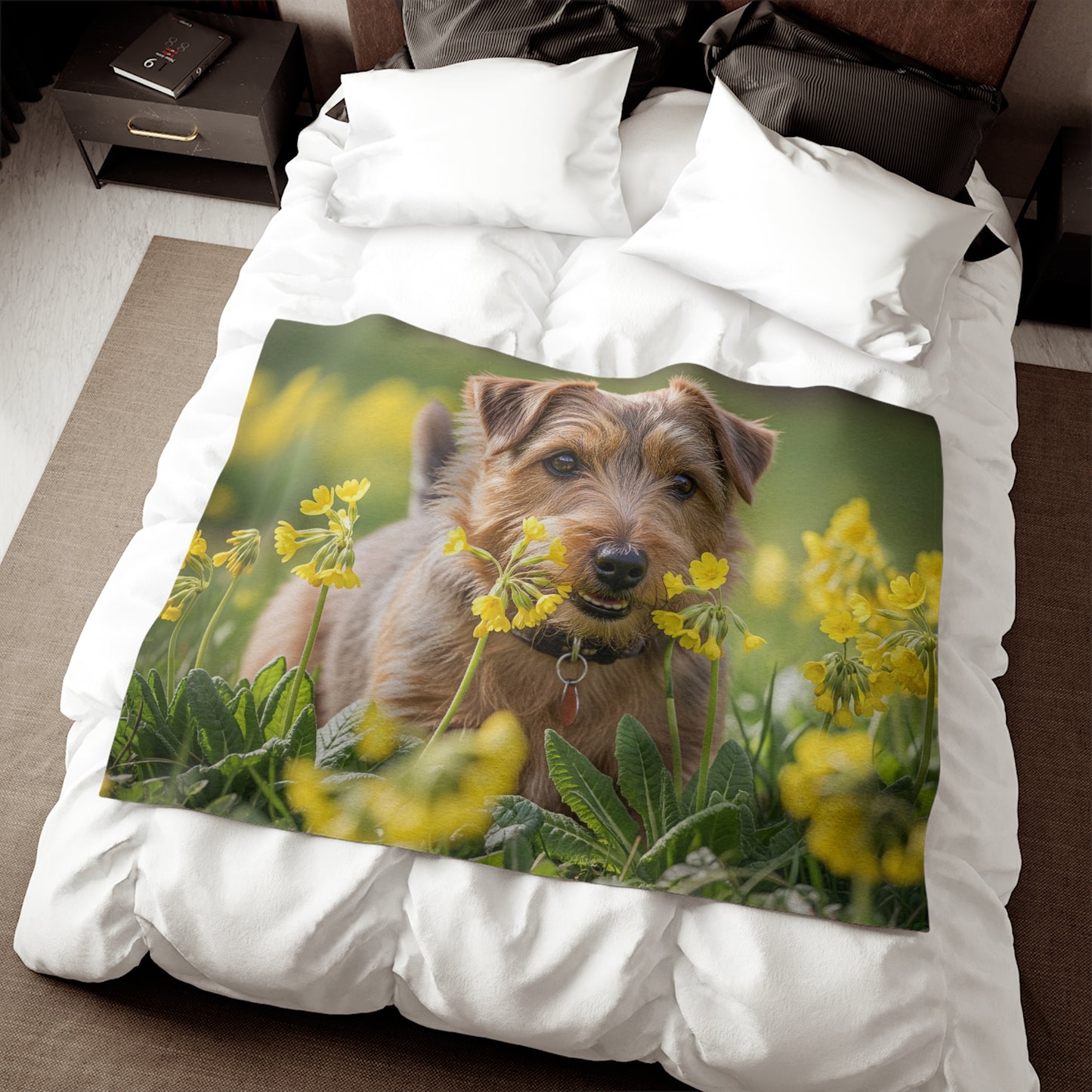 Norfolk Terrier Sweatshirt Blanket