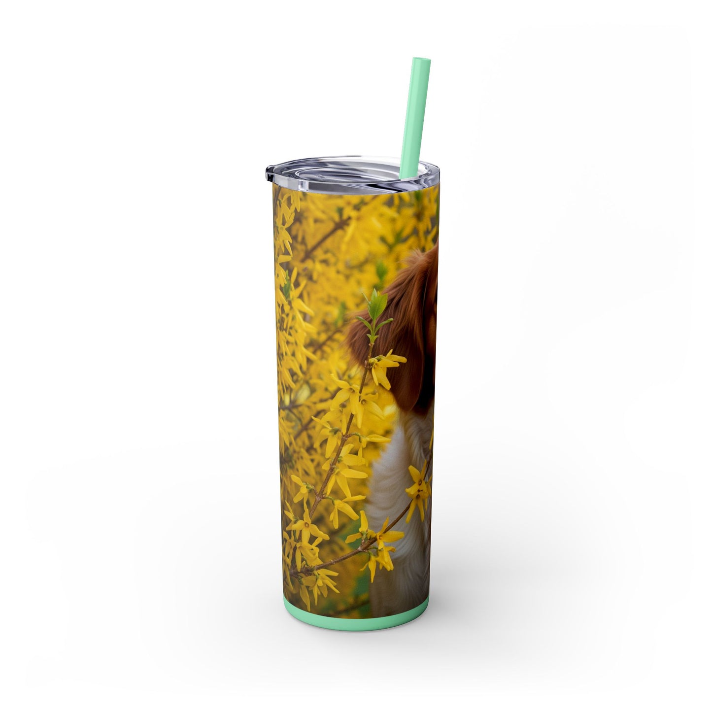 Brittany Dog Tumbler with Straw, 20oz