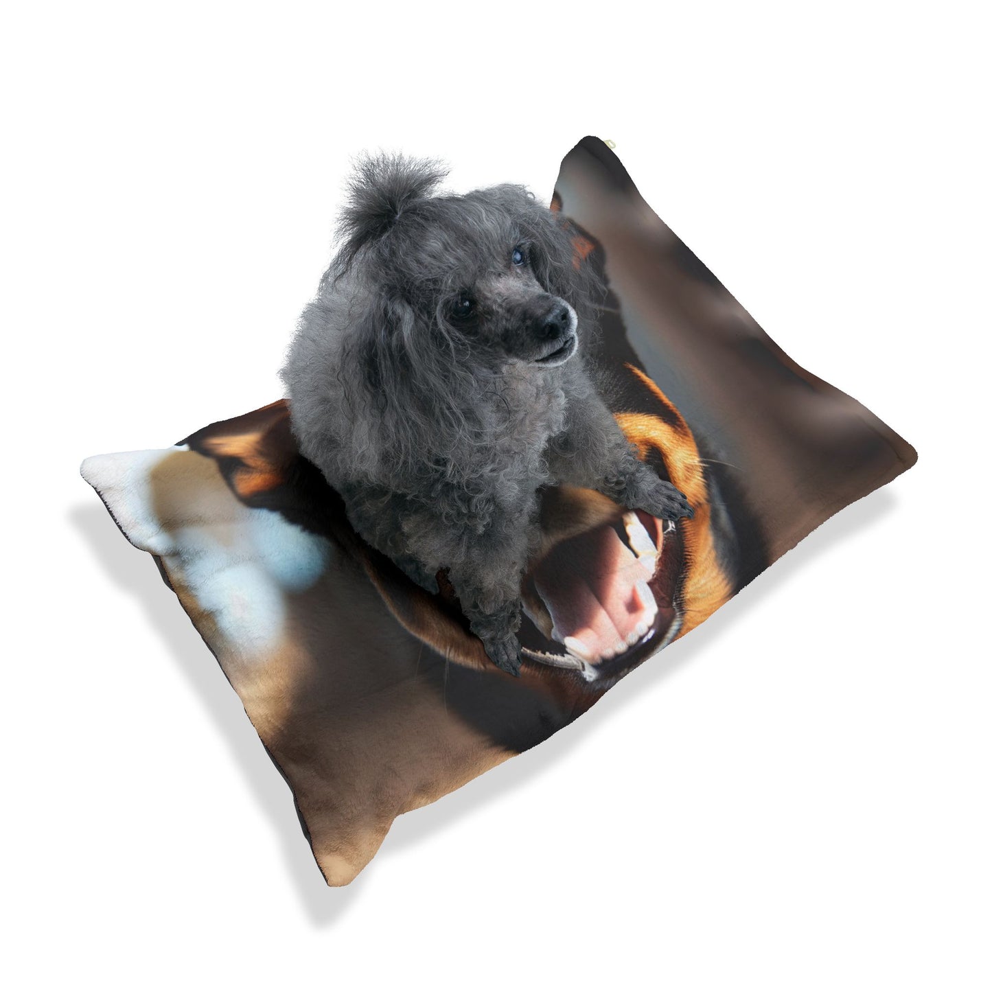 Working Kelpie Pet Bed