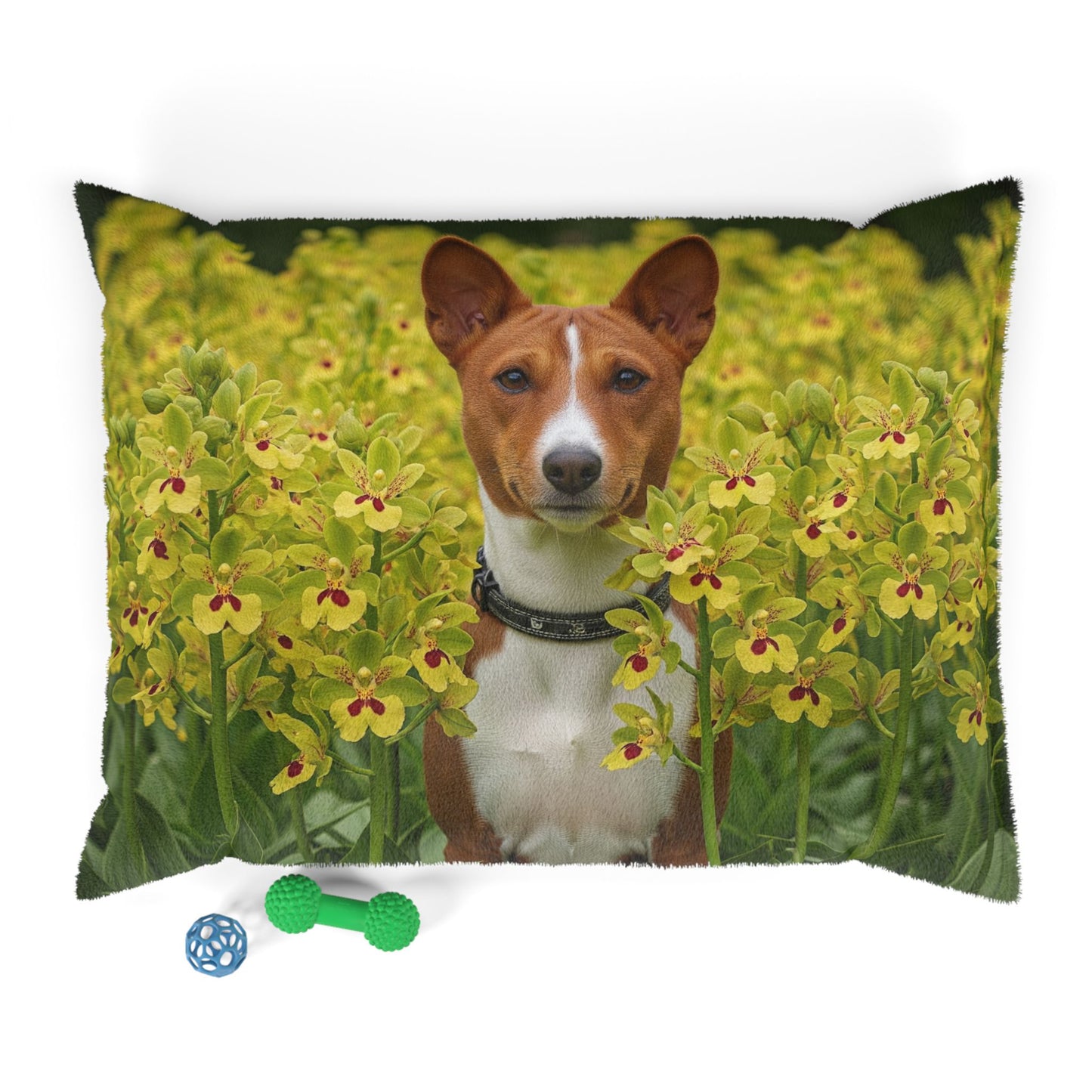 Basenji Pet Bed