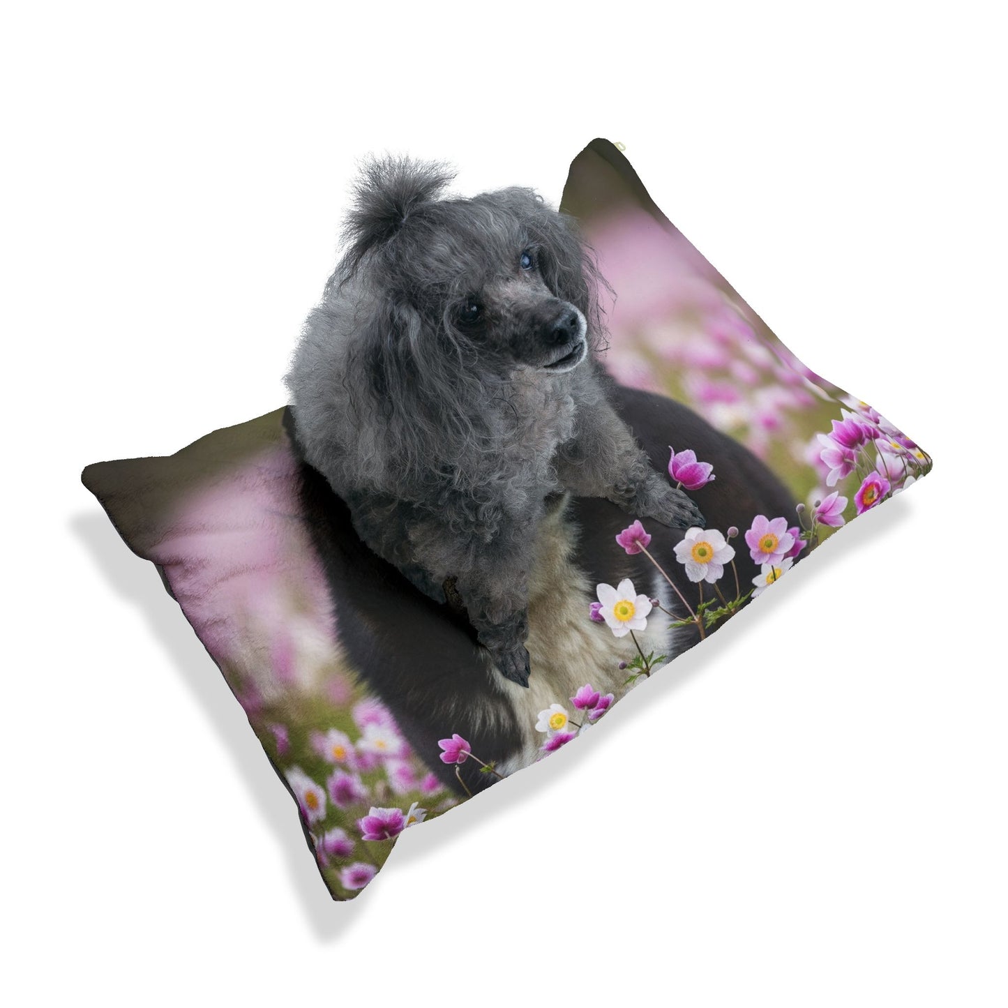 Karelian Bear Dog Pet Bed