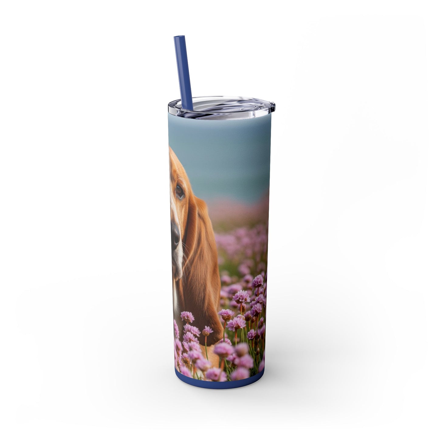 Basset Fauve de Bretagne Skinny Tumbler with Straw, 20oz