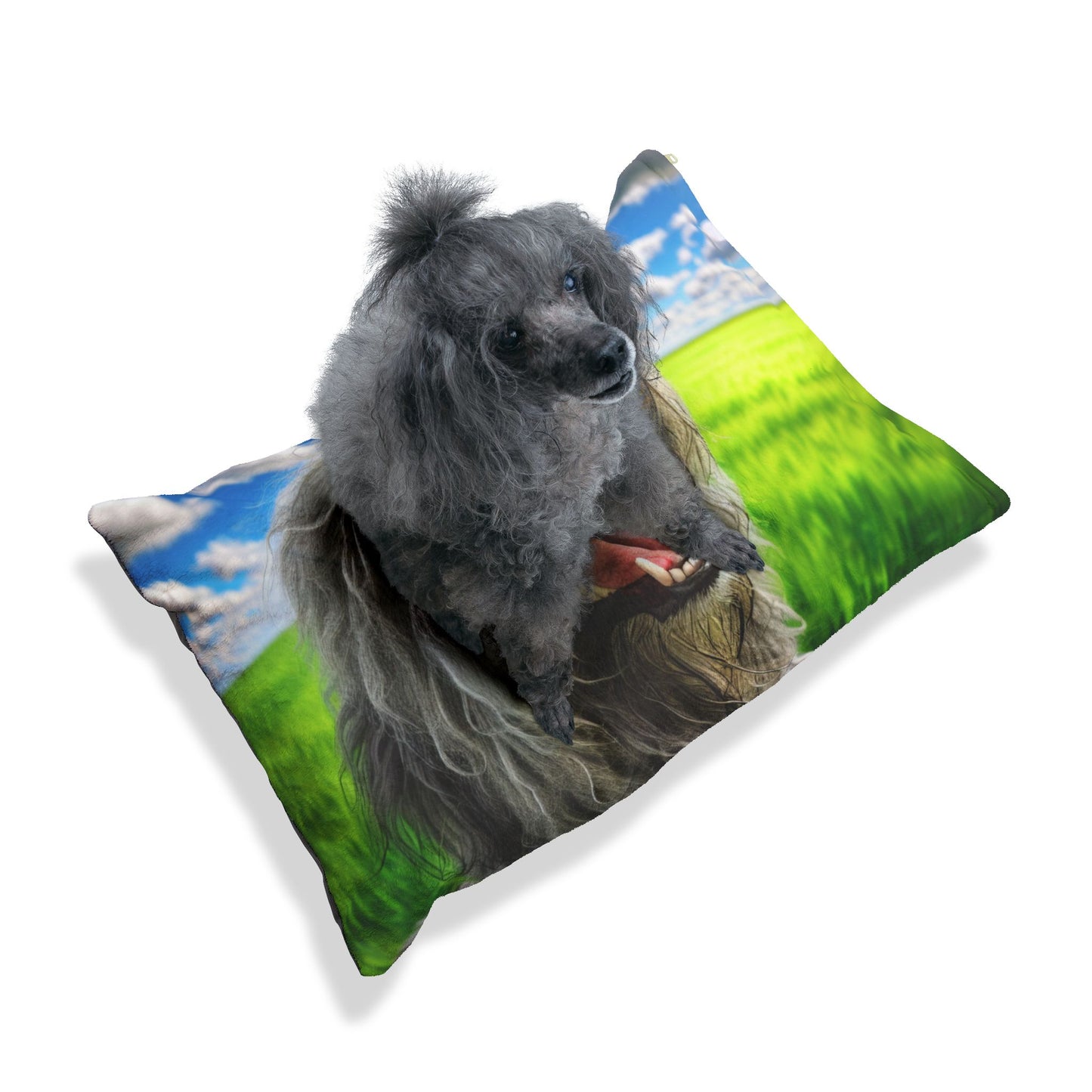 Bergamasco Shepherd Dog Pet Bed