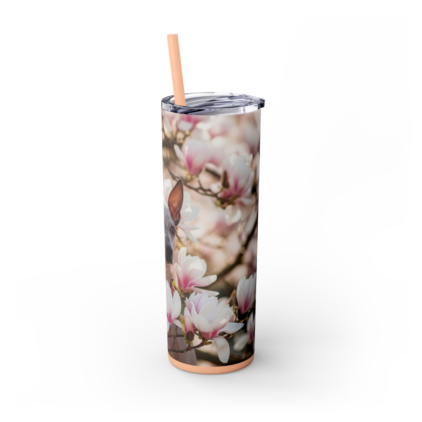 American Hairless Terrier Skinny Tumbler with Straw, 20oz