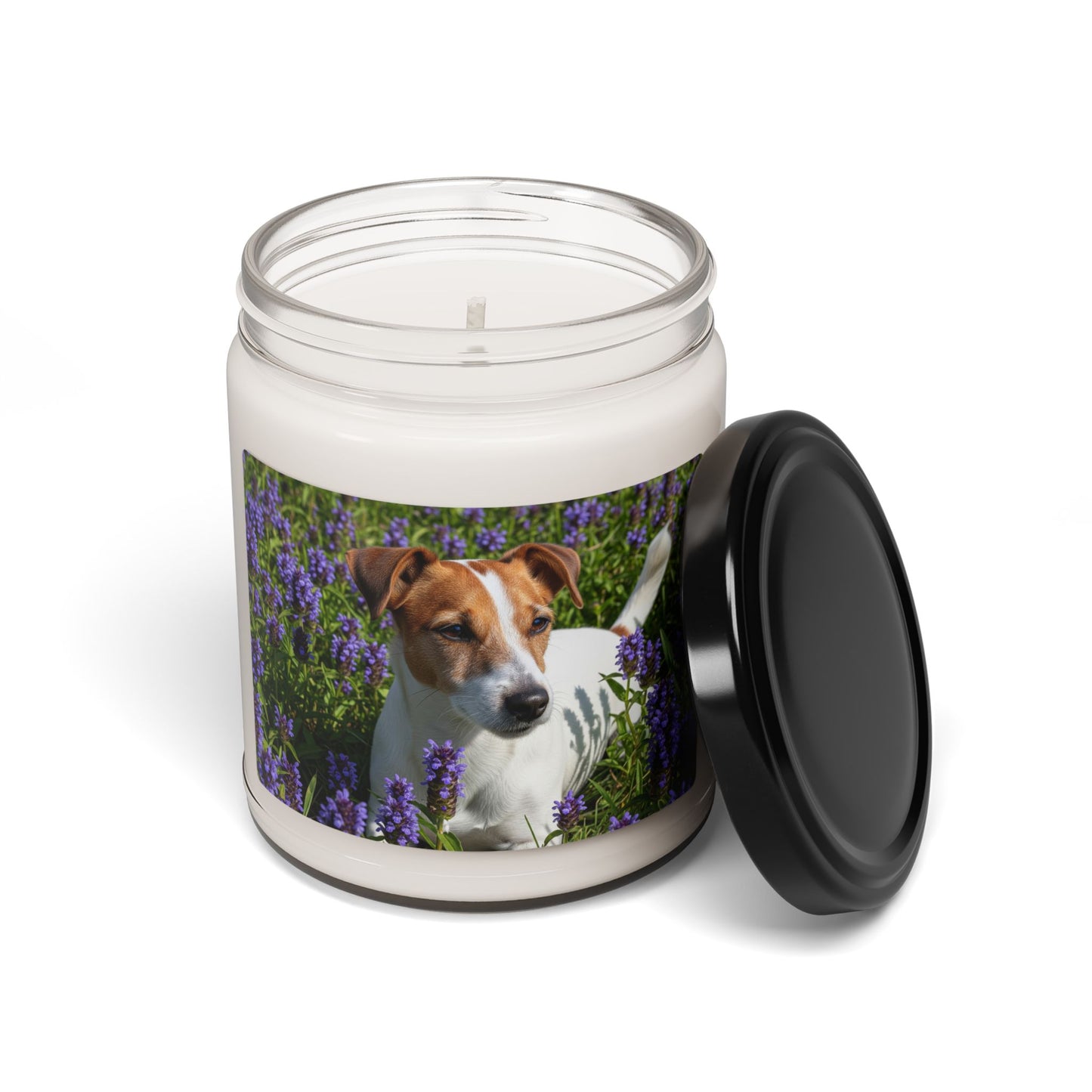 Jack Russell Terrier- Scented Soy Candle, 9oz