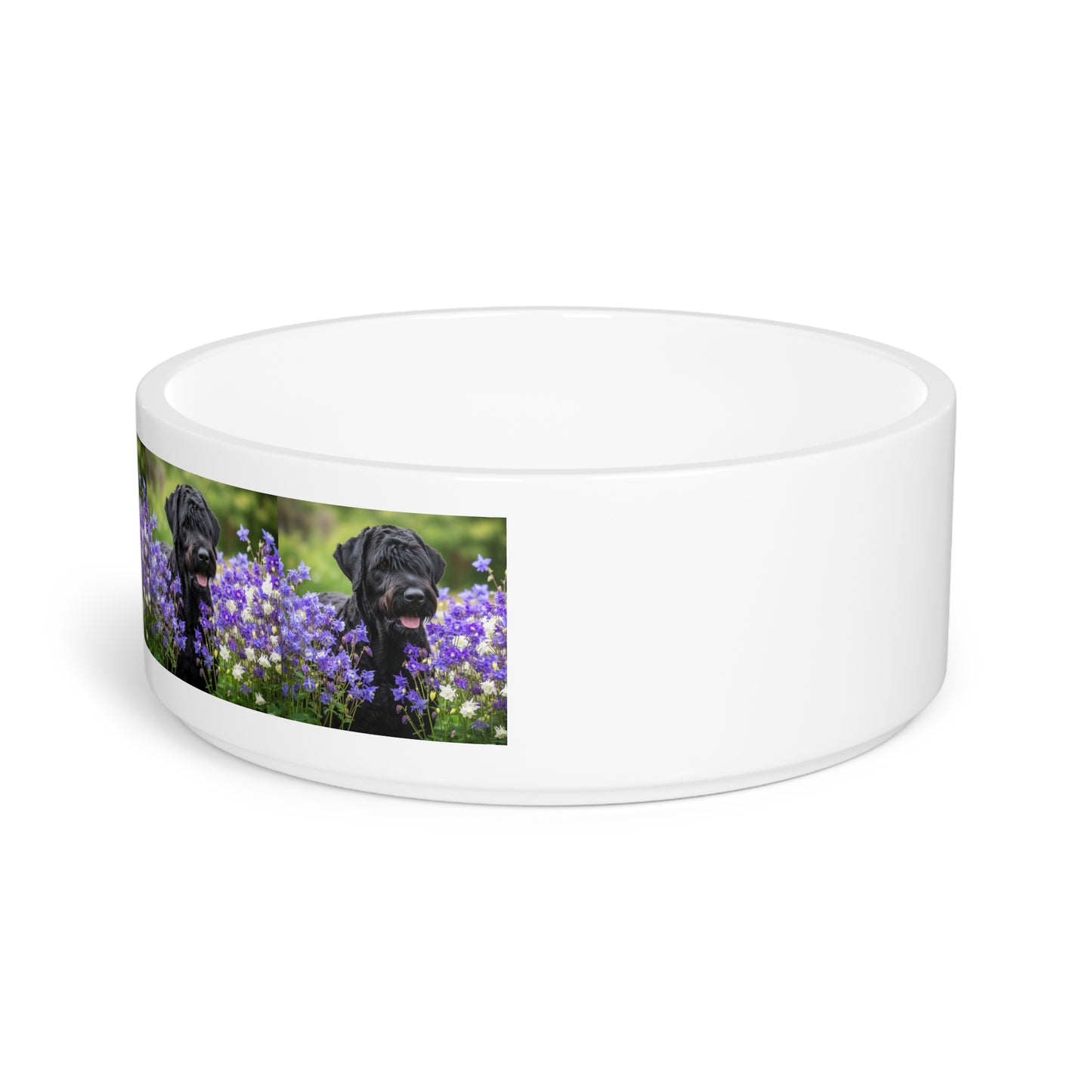 Black Russian Terrier Pet Bowl