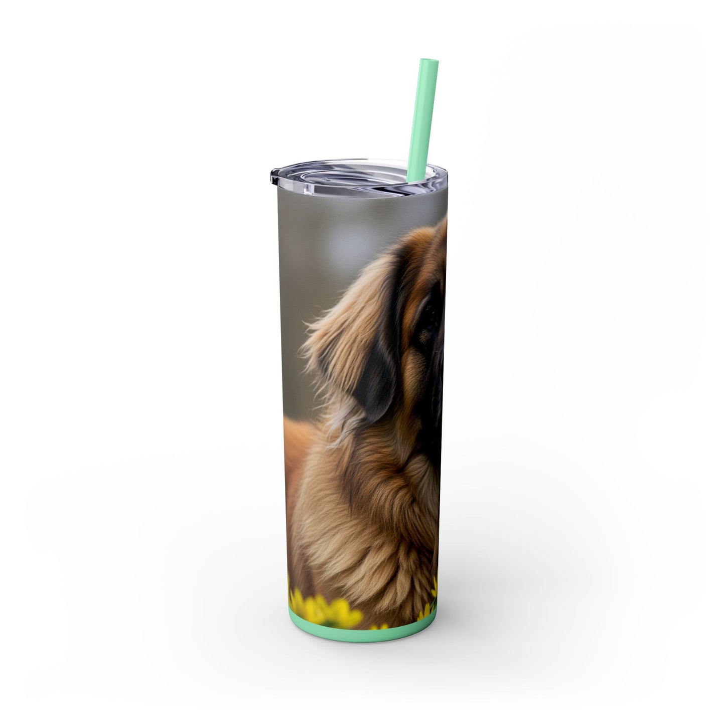Leonberger Tumbler with Straw, 20oz