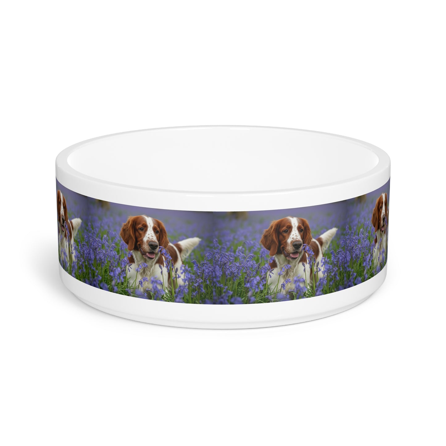 Welsh Springer Spaniel Pet Bowl