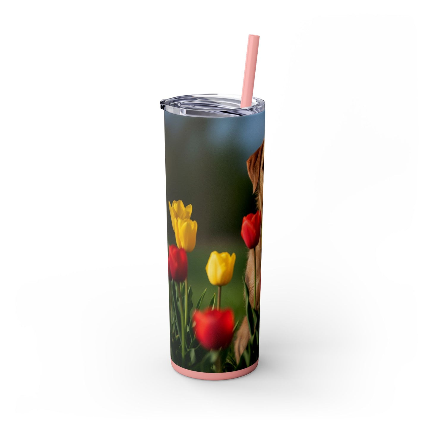 Pumi Skinny Tumbler with Straw, 20oz