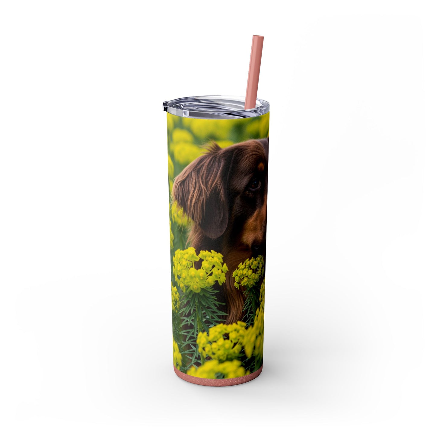 Hovawart Tumbler with Straw, 20oz