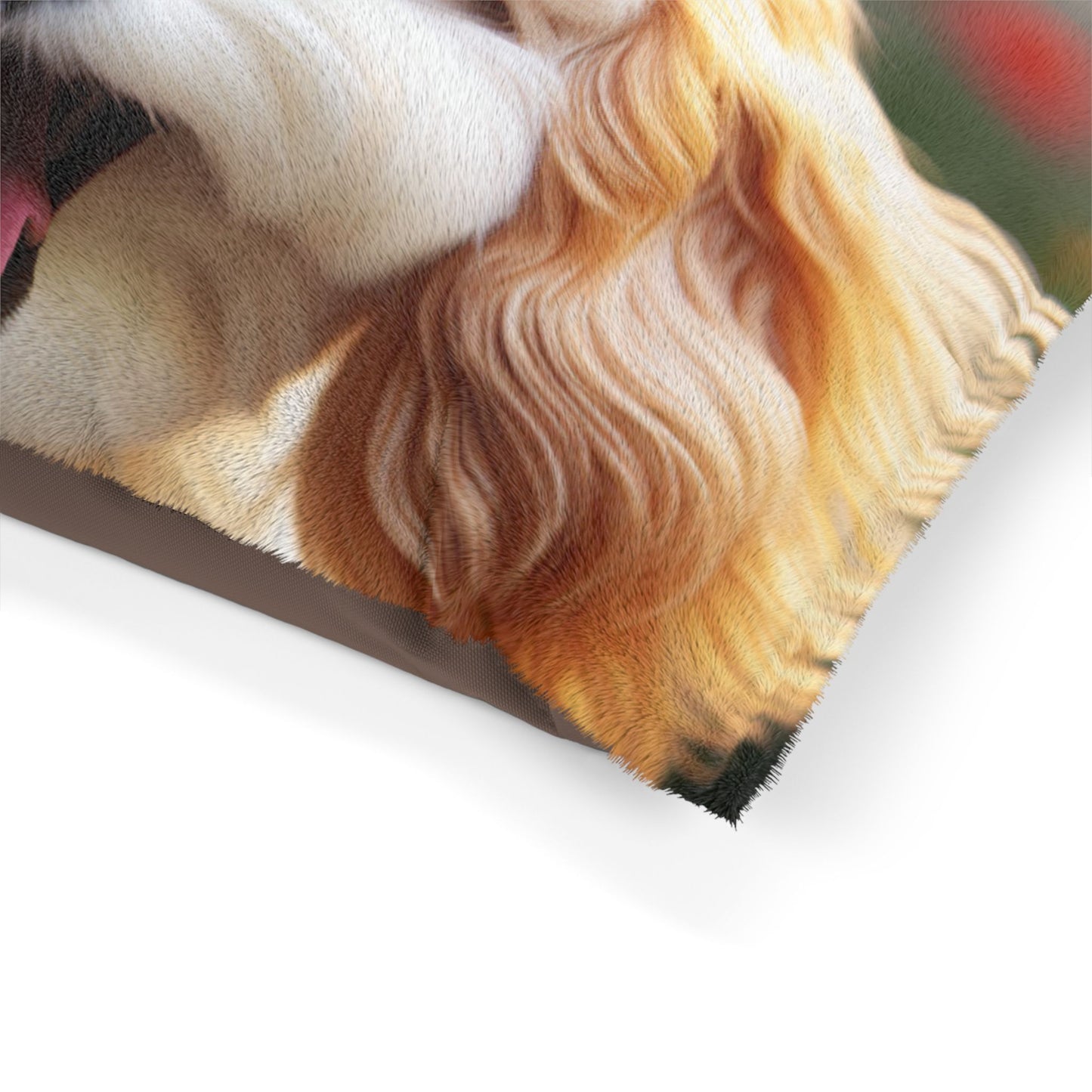Cavachon Pet Bed