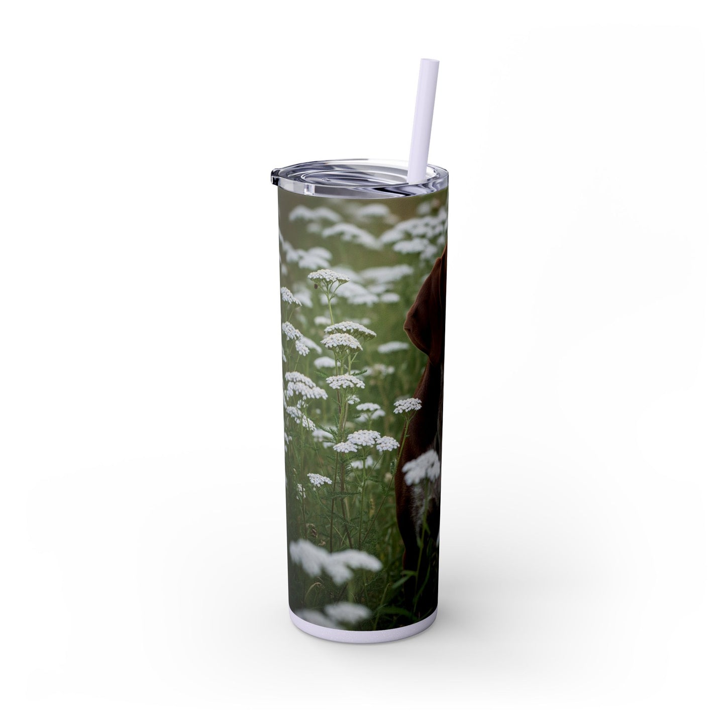 Braque du Bourbonnais Tumbler with Straw, 20oz