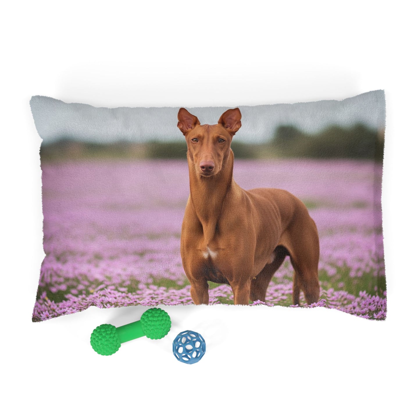Pharaoh Hound Pet Bed