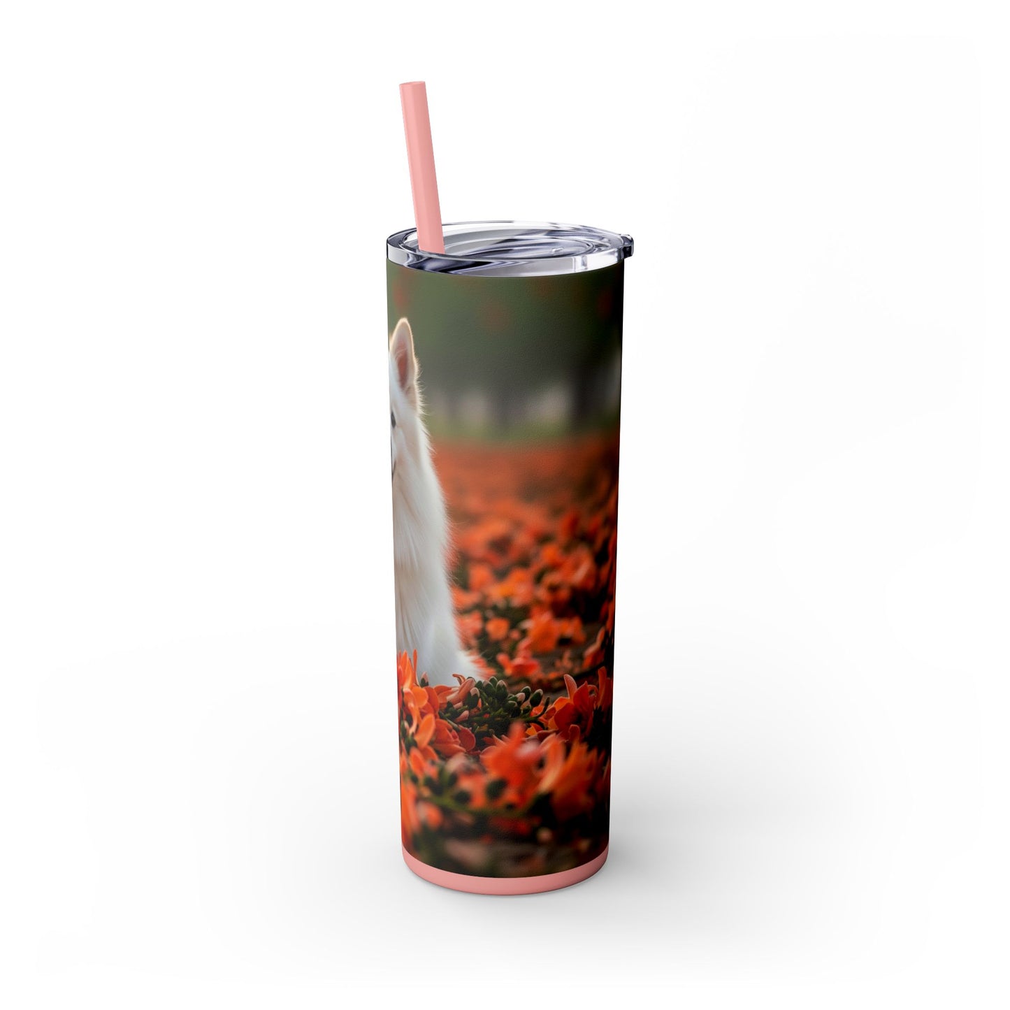 Indian Spitz Tumbler with Straw, 20oz
