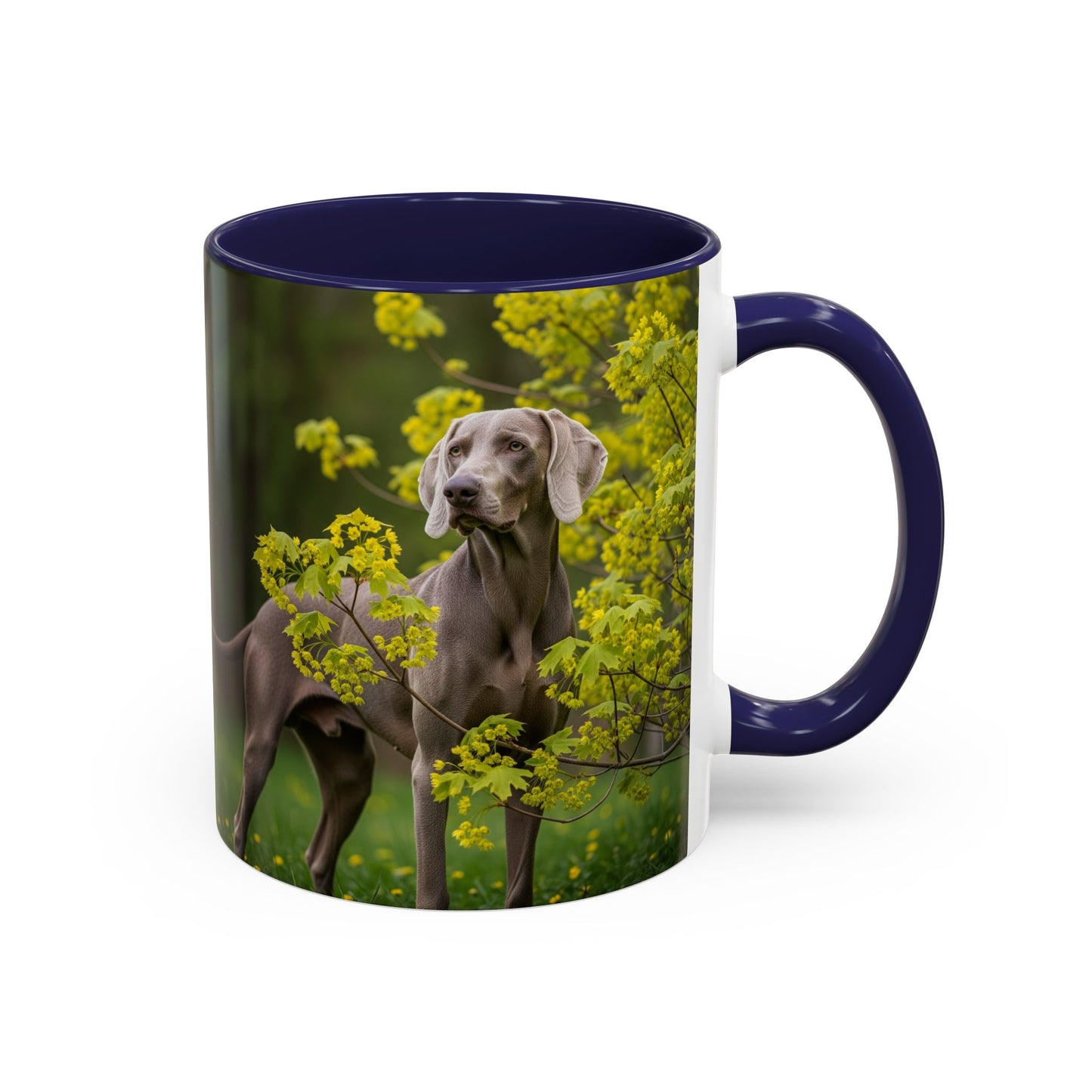 Weimaraner Accent Coffee Mug - Perfect Gift for Dog Lovers