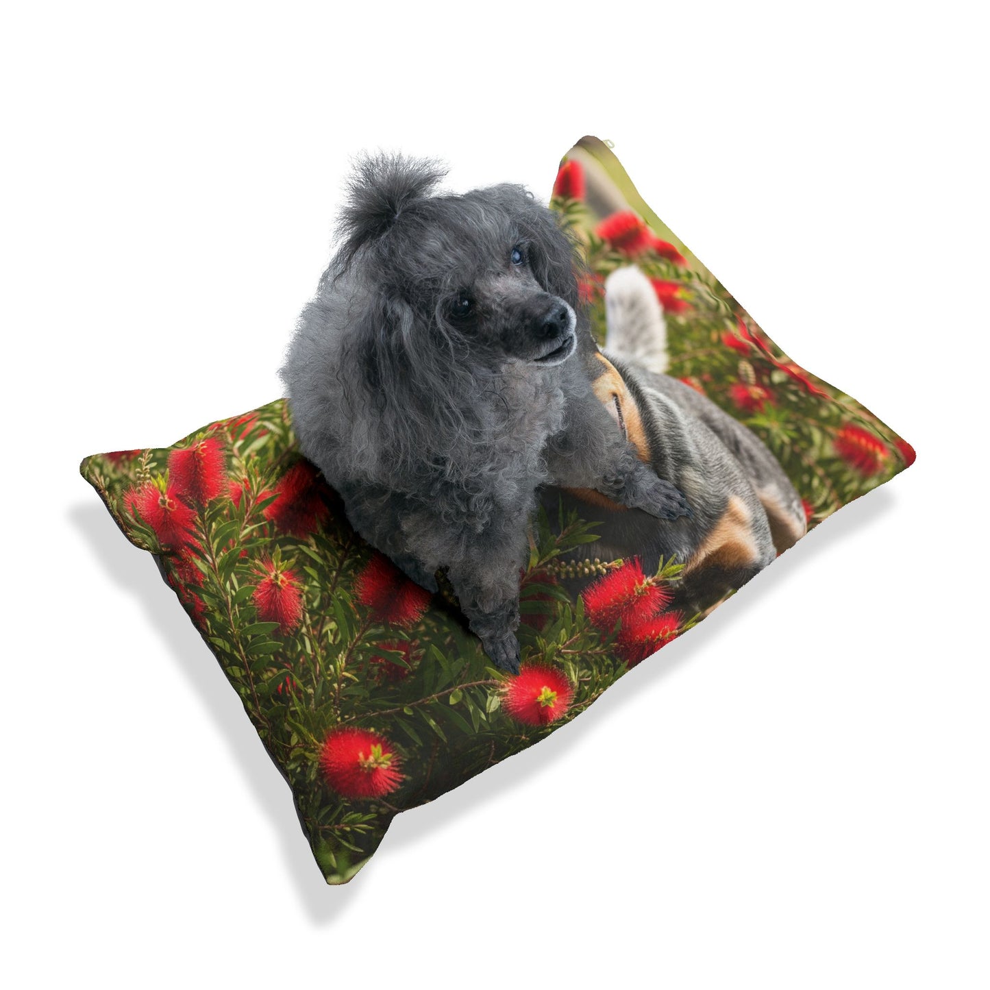 Australian Cattle Dog Pet Bed