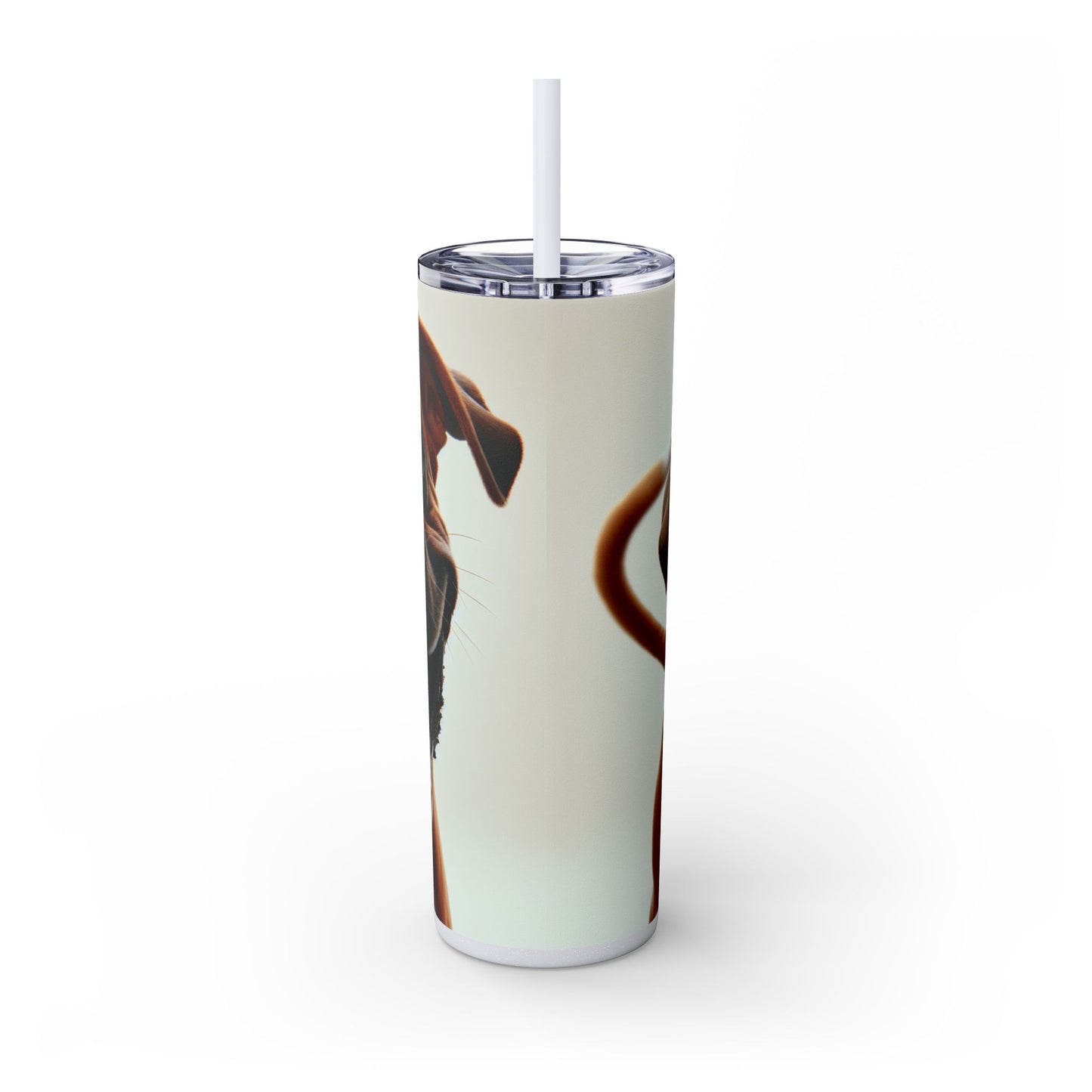 Boxer Skinny Tumbler with Straw, 20oz