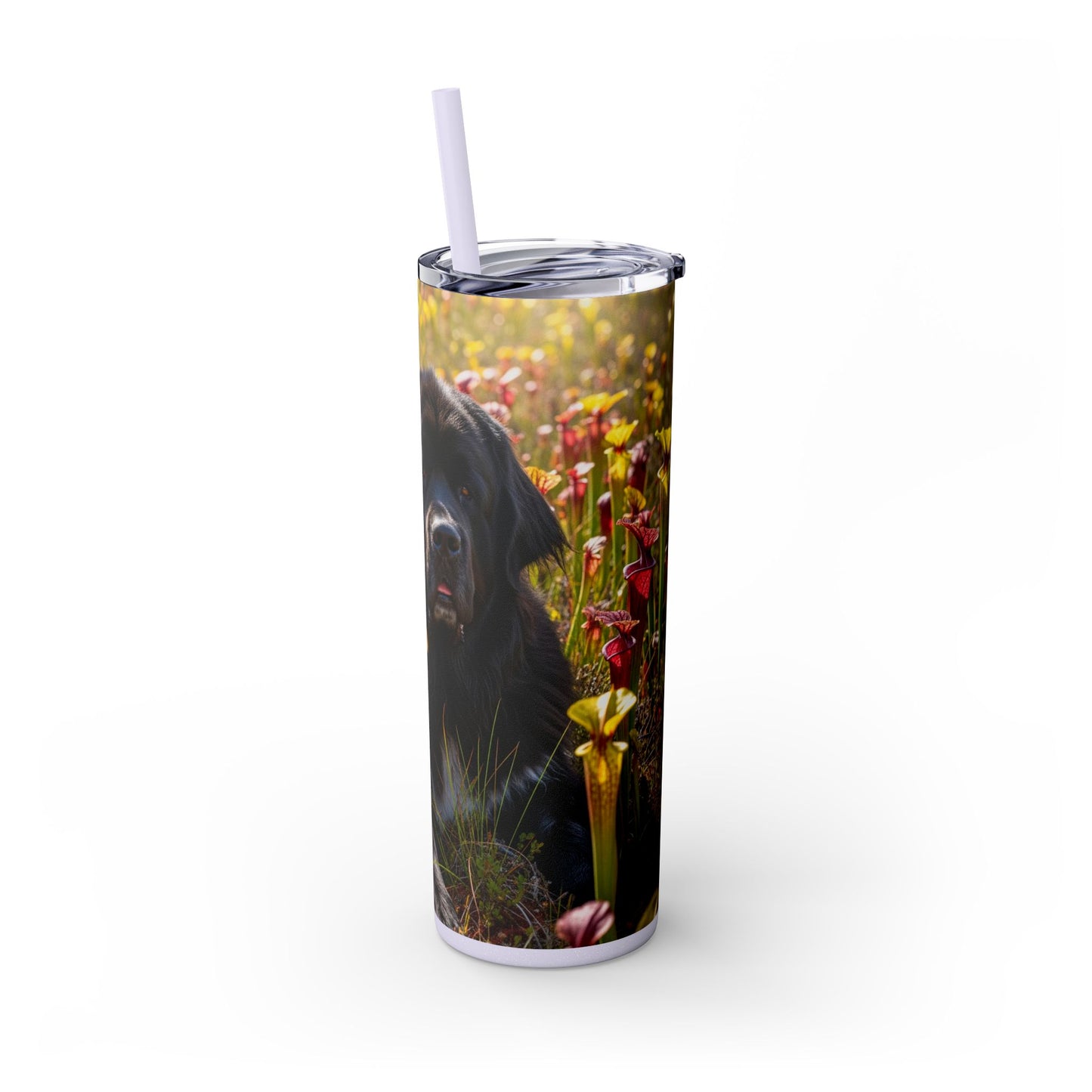 Newfoundland Skinny Tumbler with Straw, 20oz