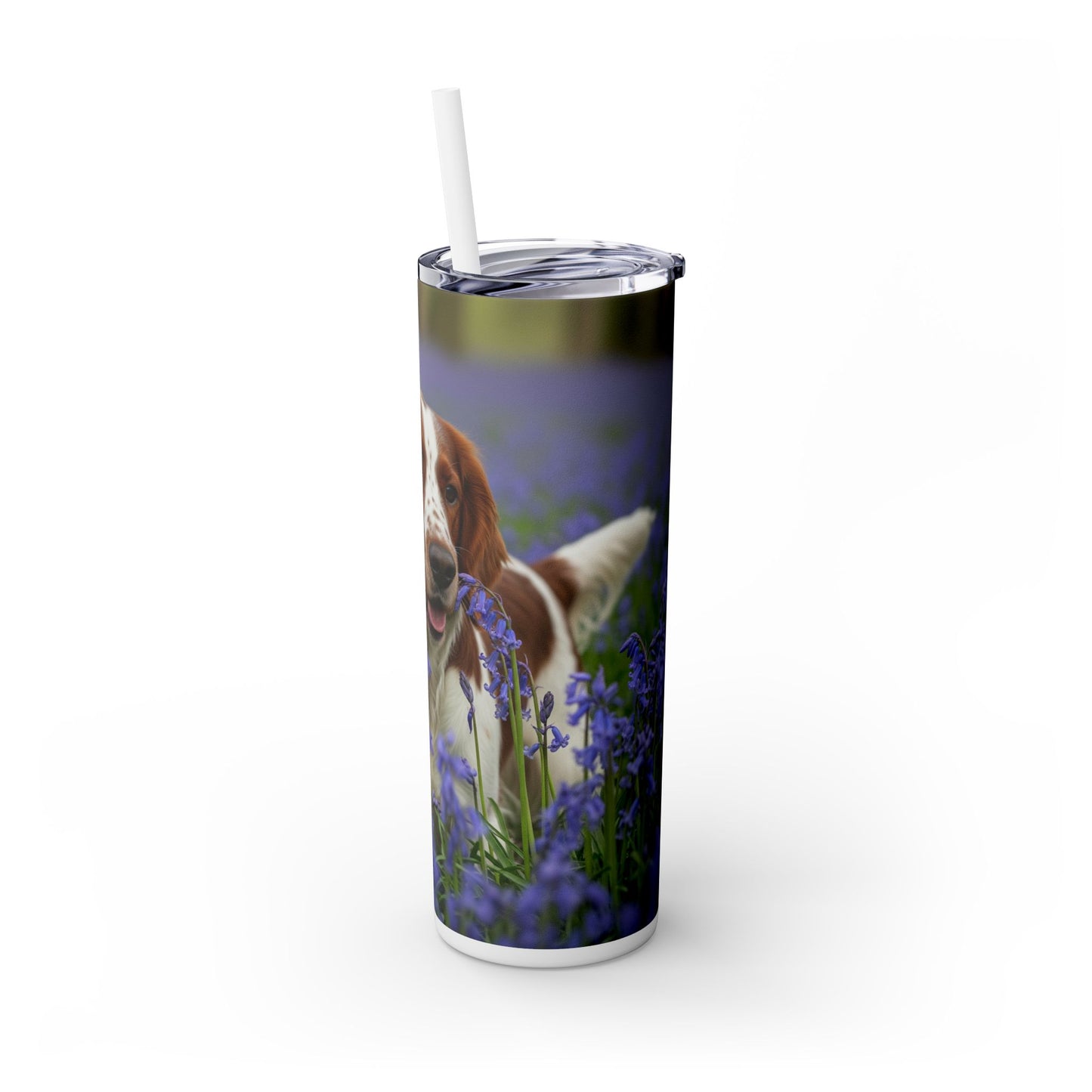 Welsh Springer Spaniel Skinny Tumbler with Straw, 20oz