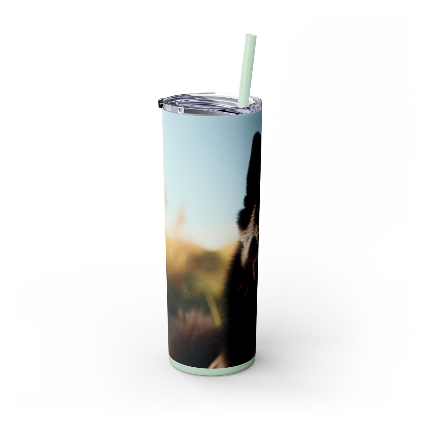 Schipperke Skinny Tumbler with Straw, 20oz