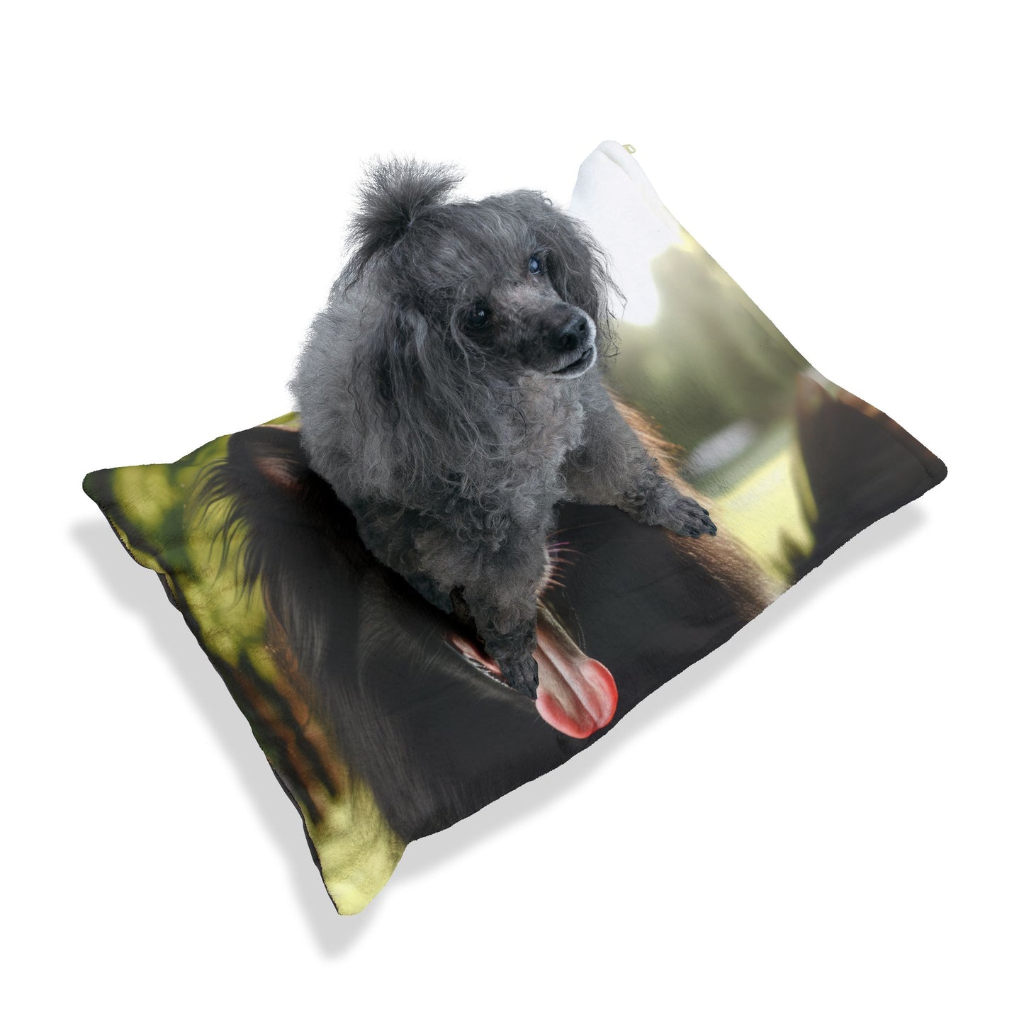 Belgian Shepherd Dog Groenendael Pet Bed