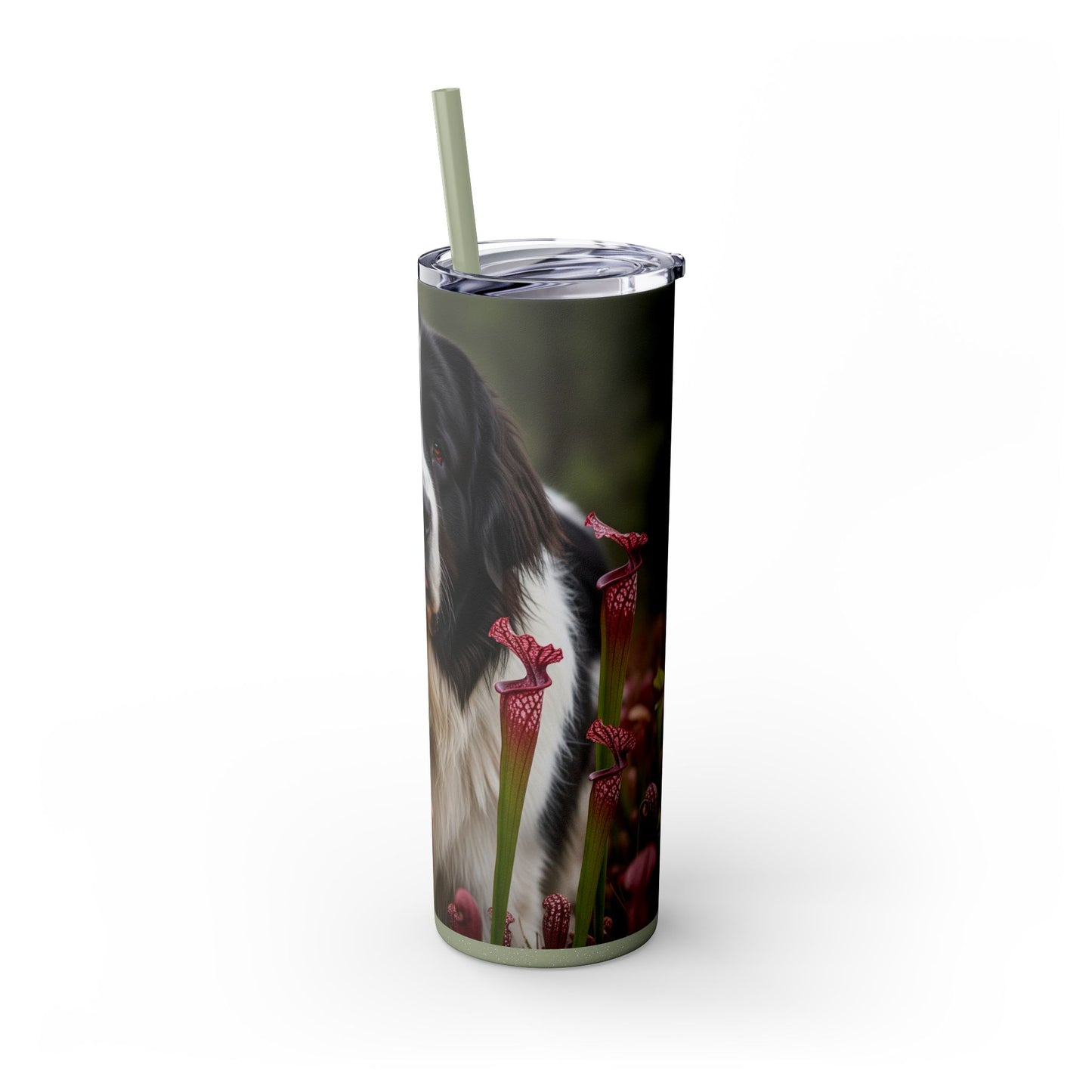 Landseer Tumbler with Straw, 20oz