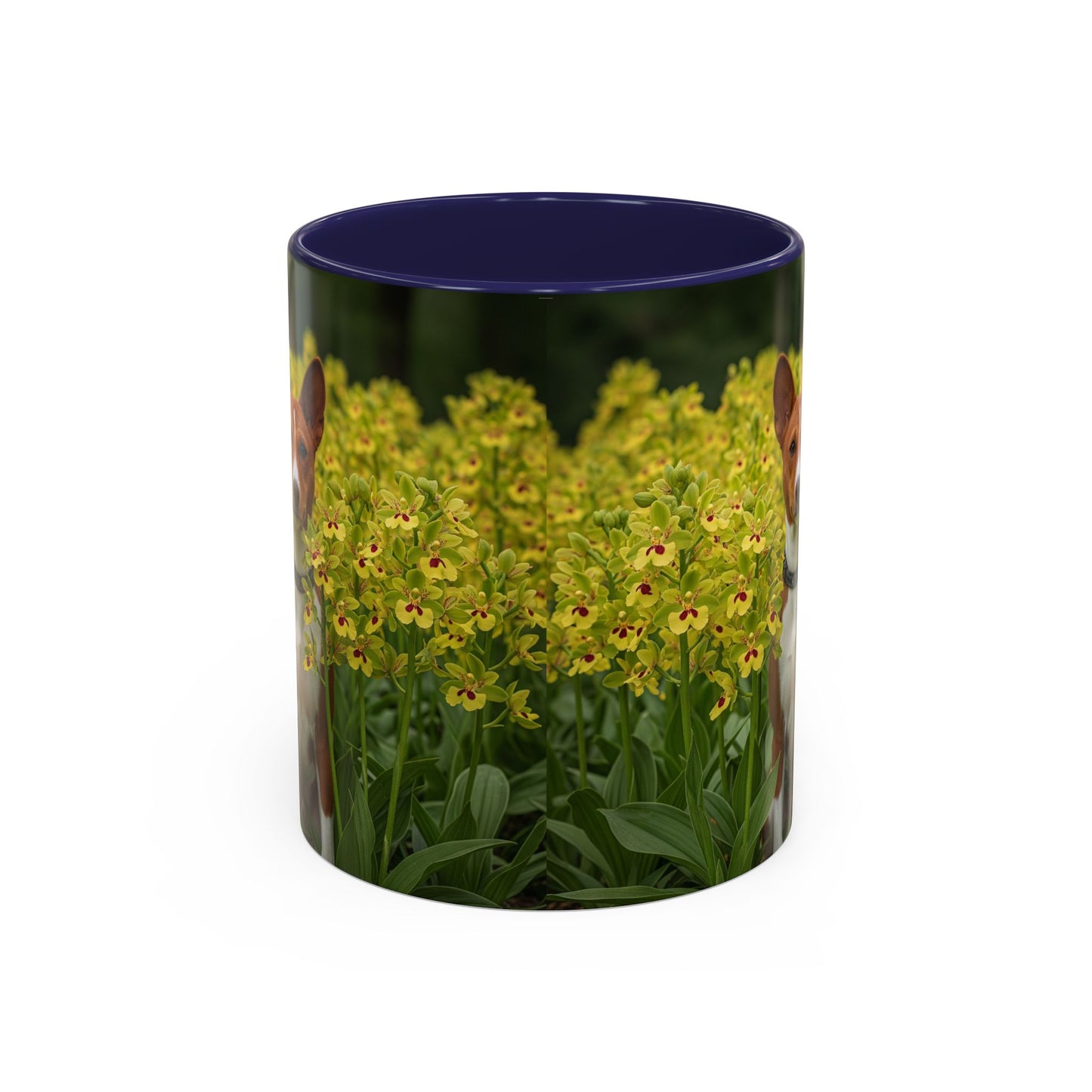 Basenji Accent Coffee Mug - Perfect Gift for Dog Lovers