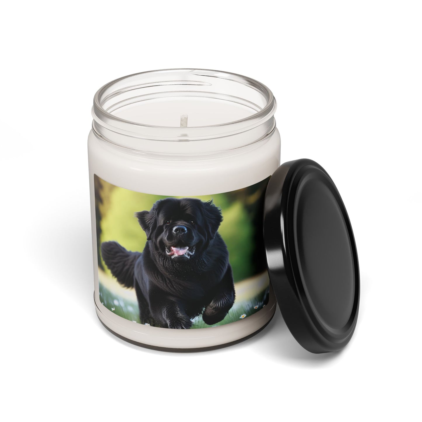 Newfoundland- Scented Soy Candle, 9oz