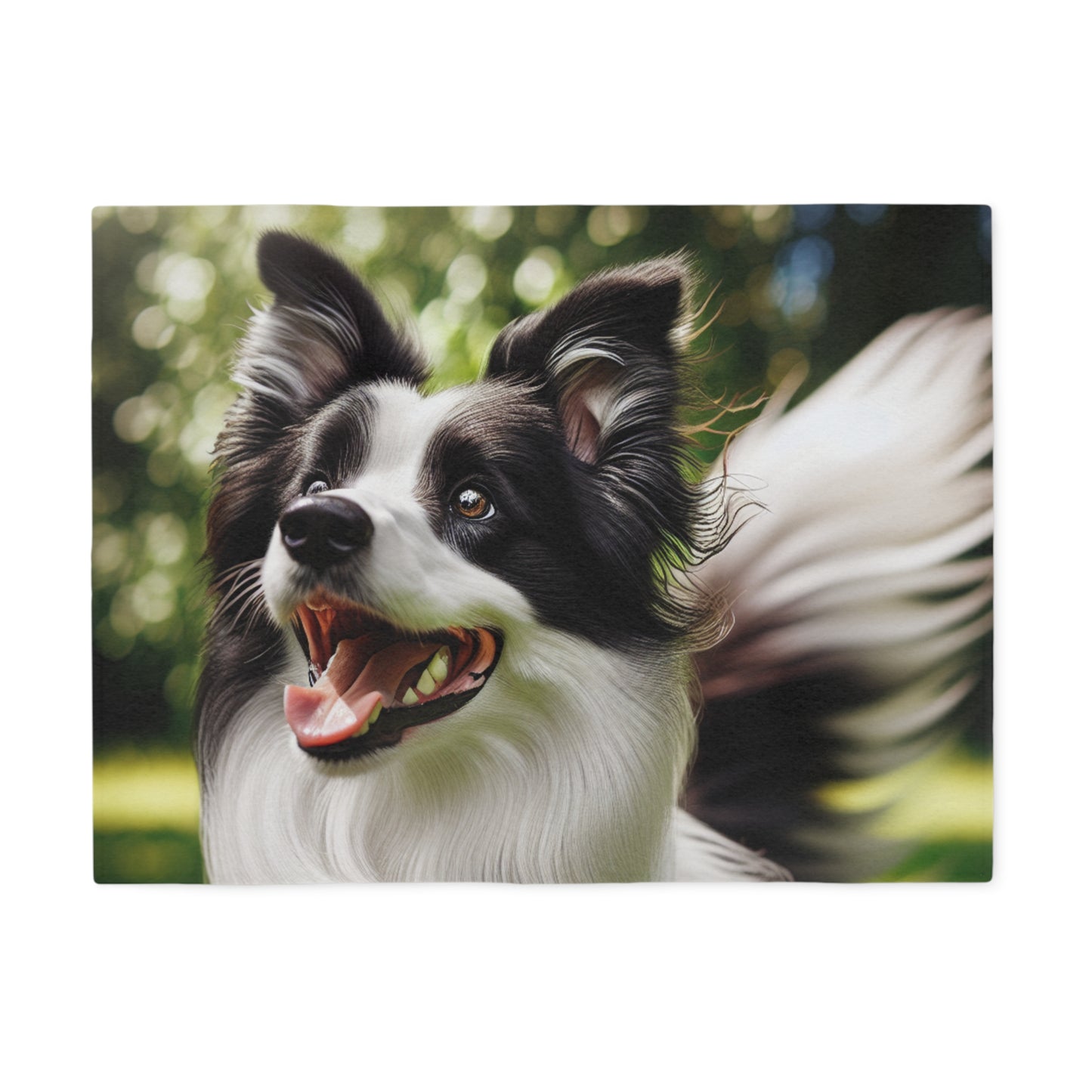 Border Collie Sweatshirt Blanket