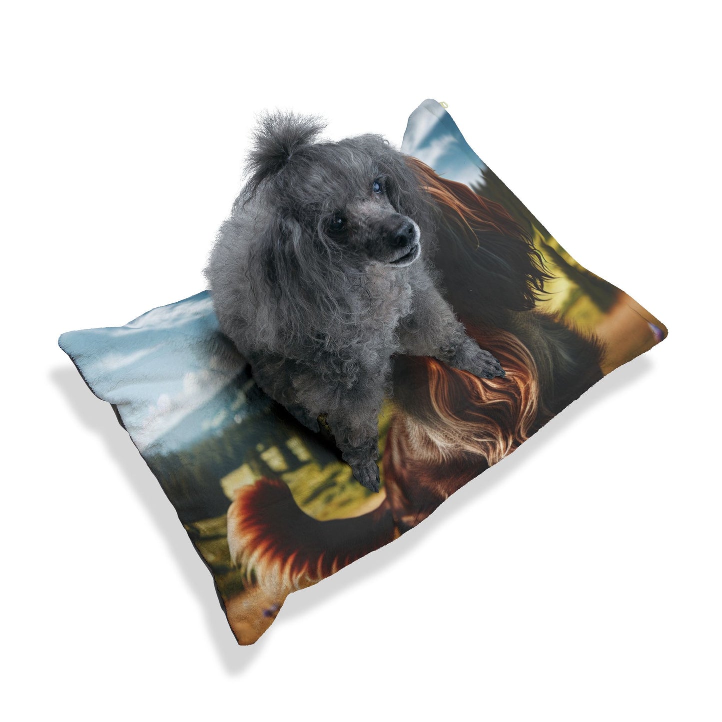 Deutscher Wachtelhund Pet Bed