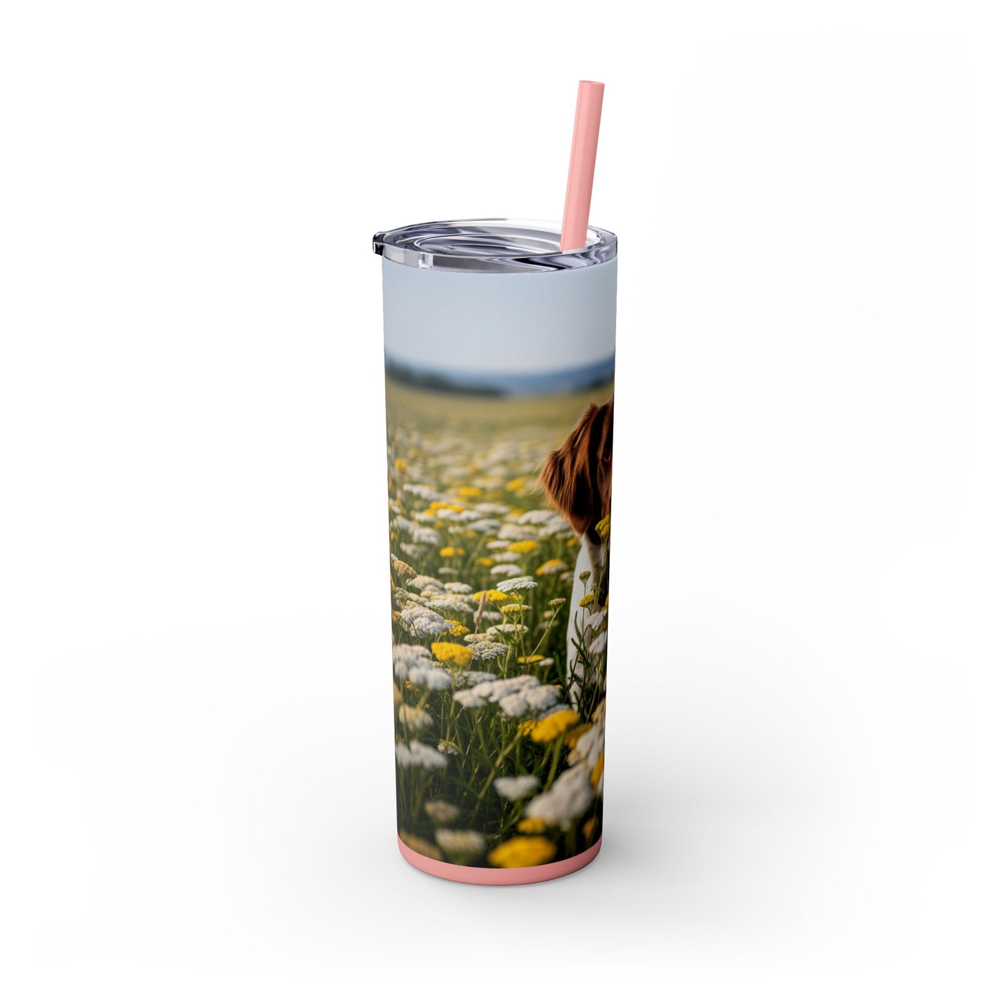 Drentsche Patrijshond Skinny Tumbler with Straw, 20oz