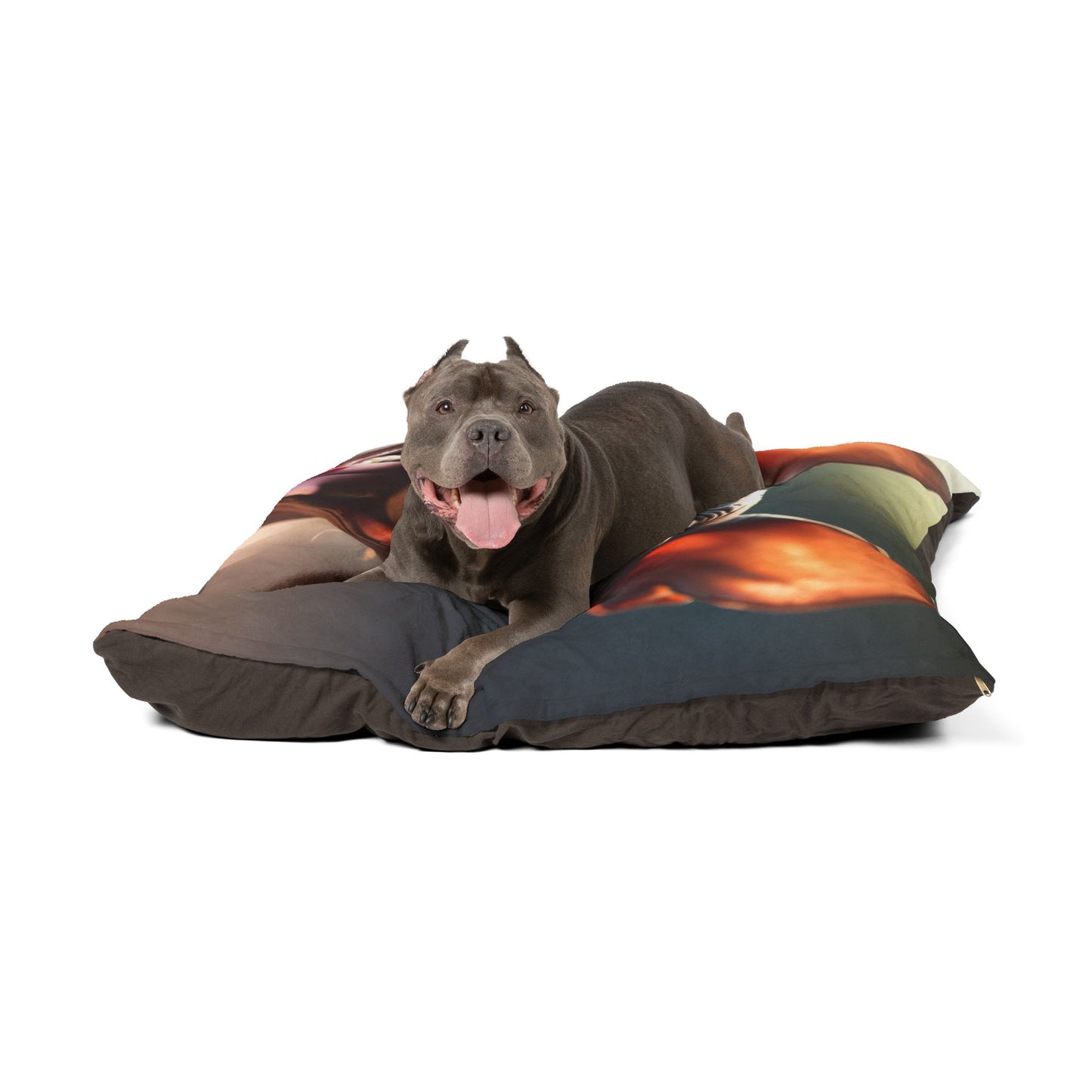 Xoloitzcuintli Pet Bed