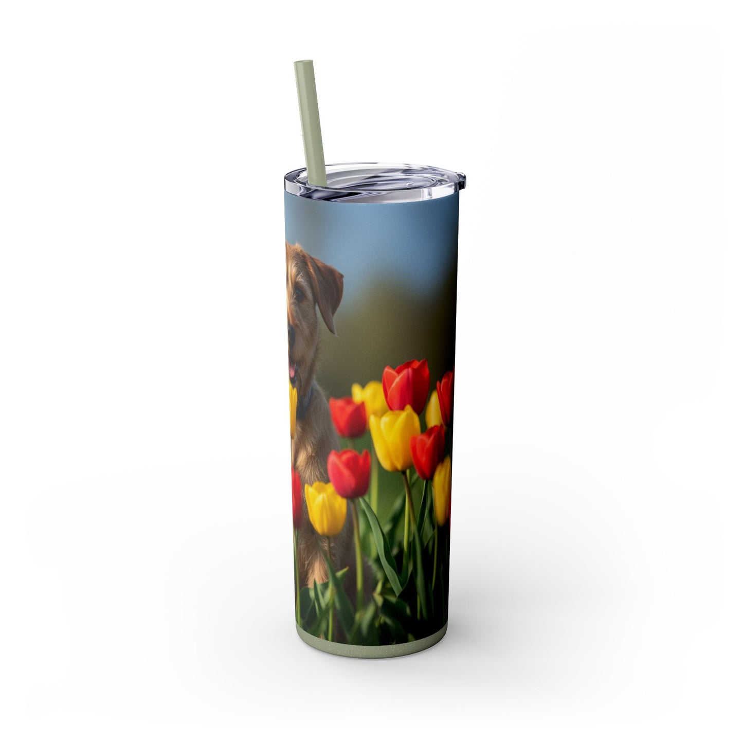Pumi Skinny Tumbler with Straw, 20oz