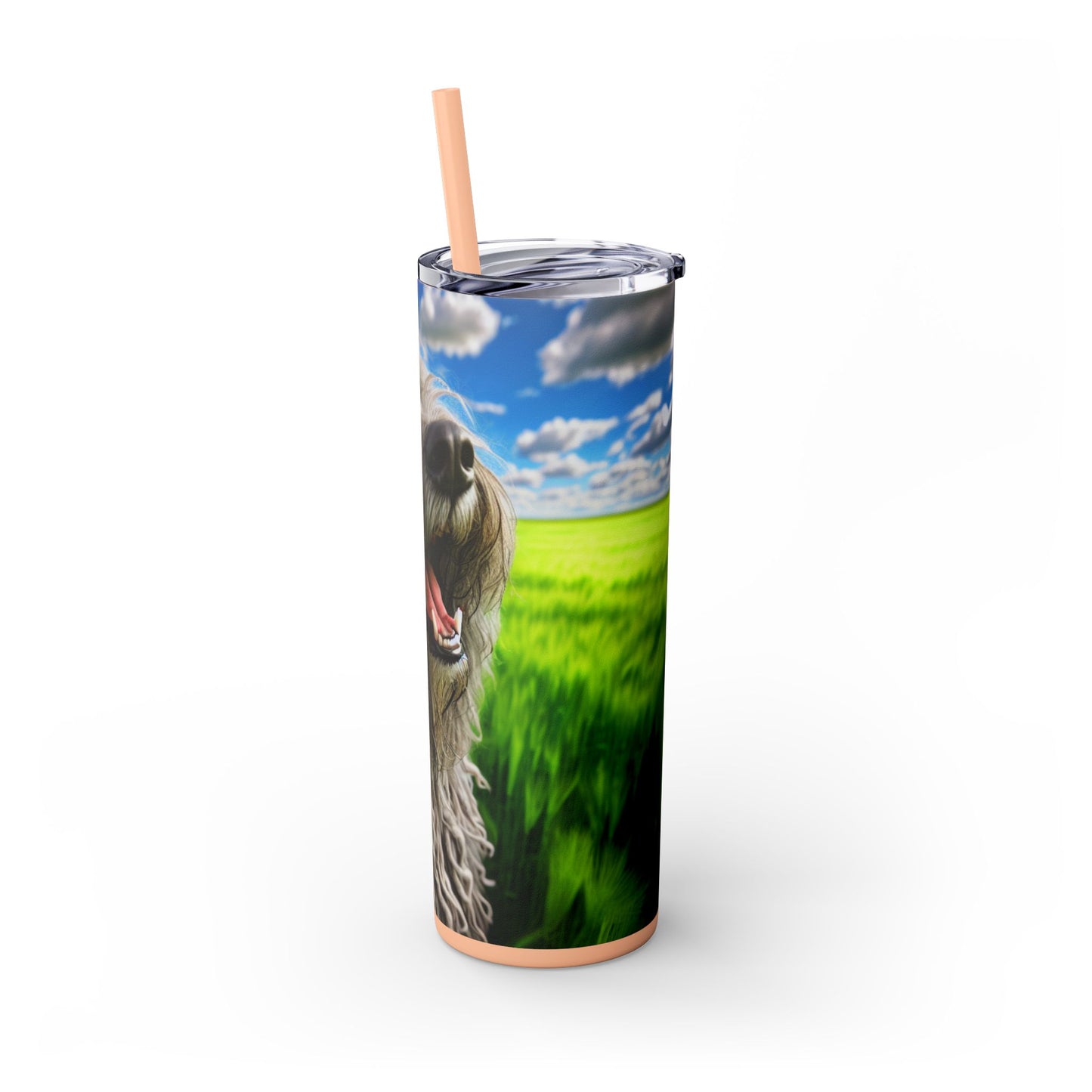 Bergamasco Shepherd Dog Tumbler with Straw, 20oz