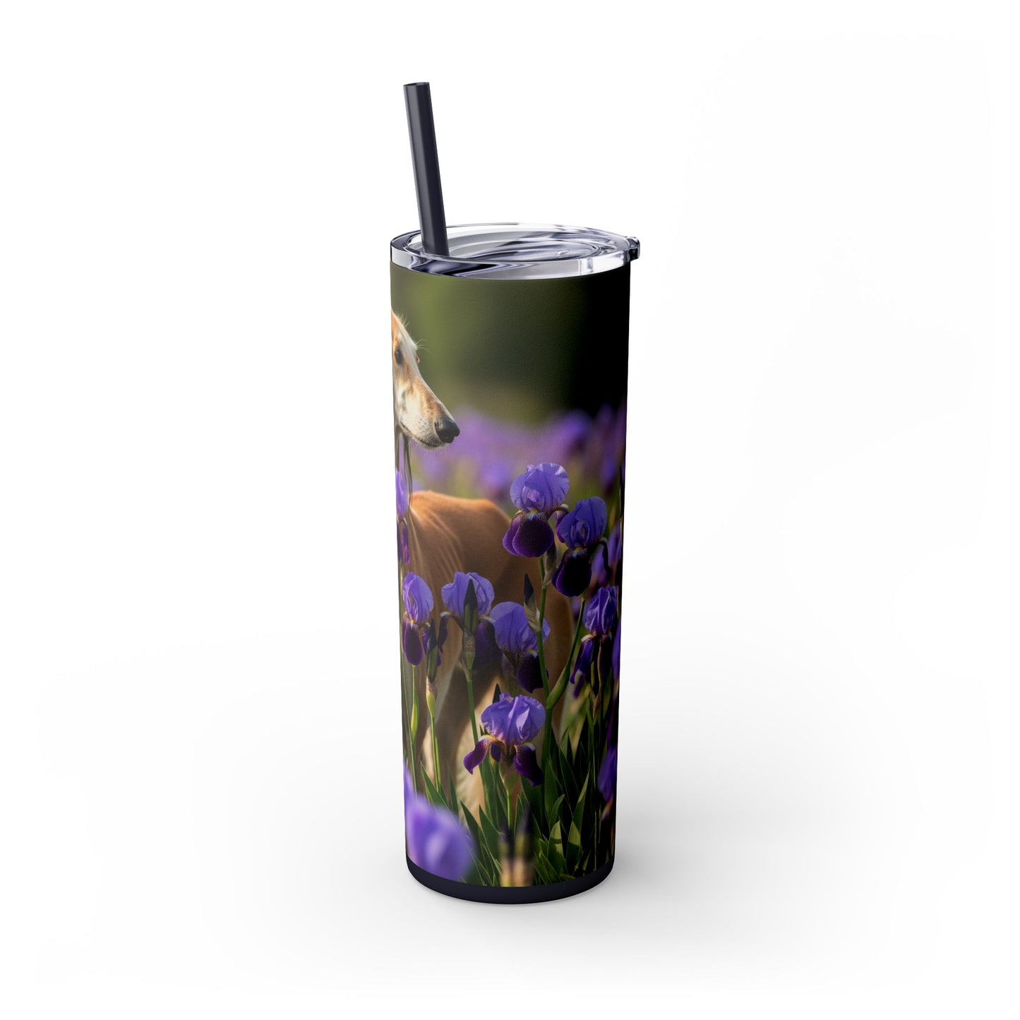 Saluki Tumbler with Straw, 20oz