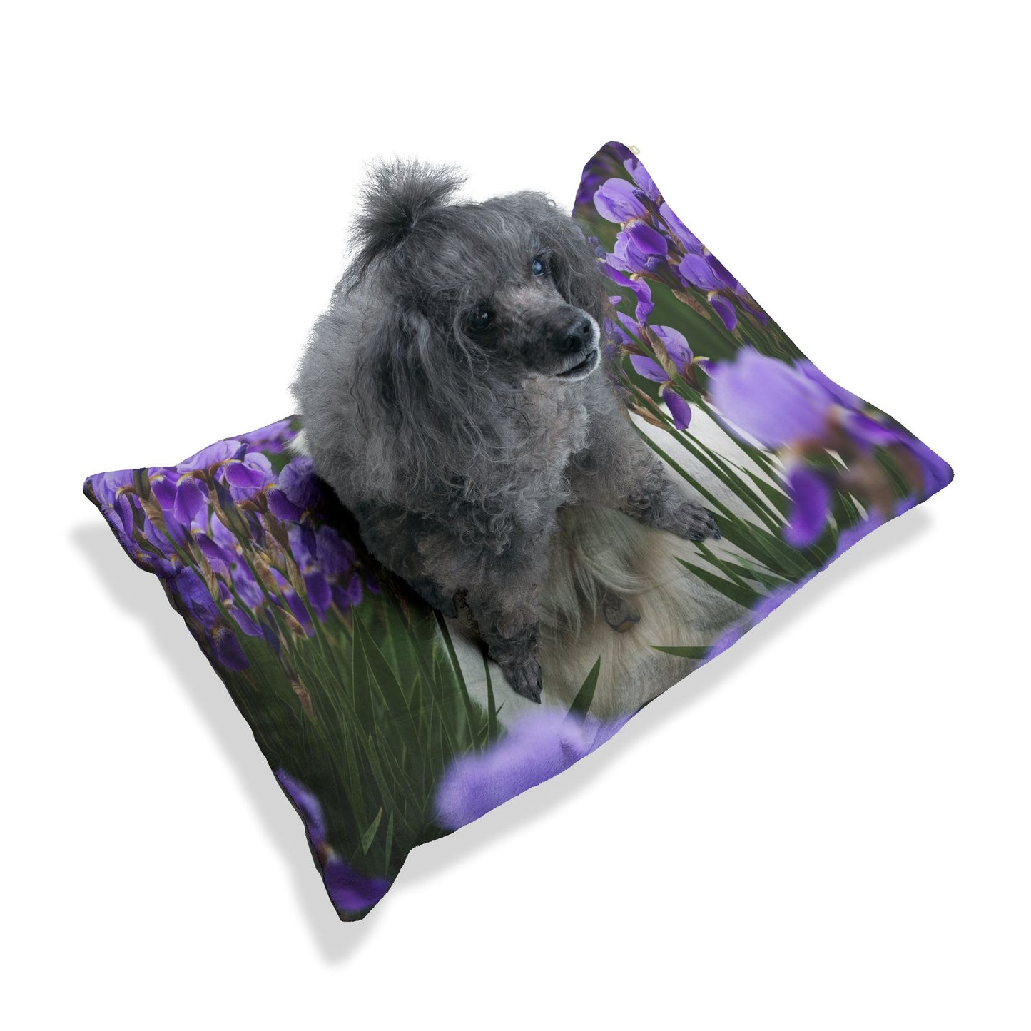 Croatian Sheepdog Pet Bed