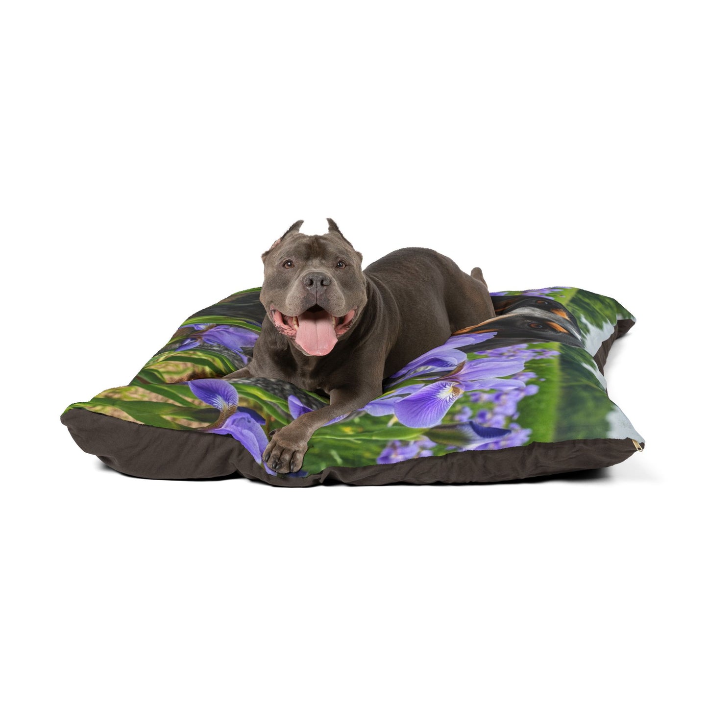 Bluetick Coonhound Pet Bed