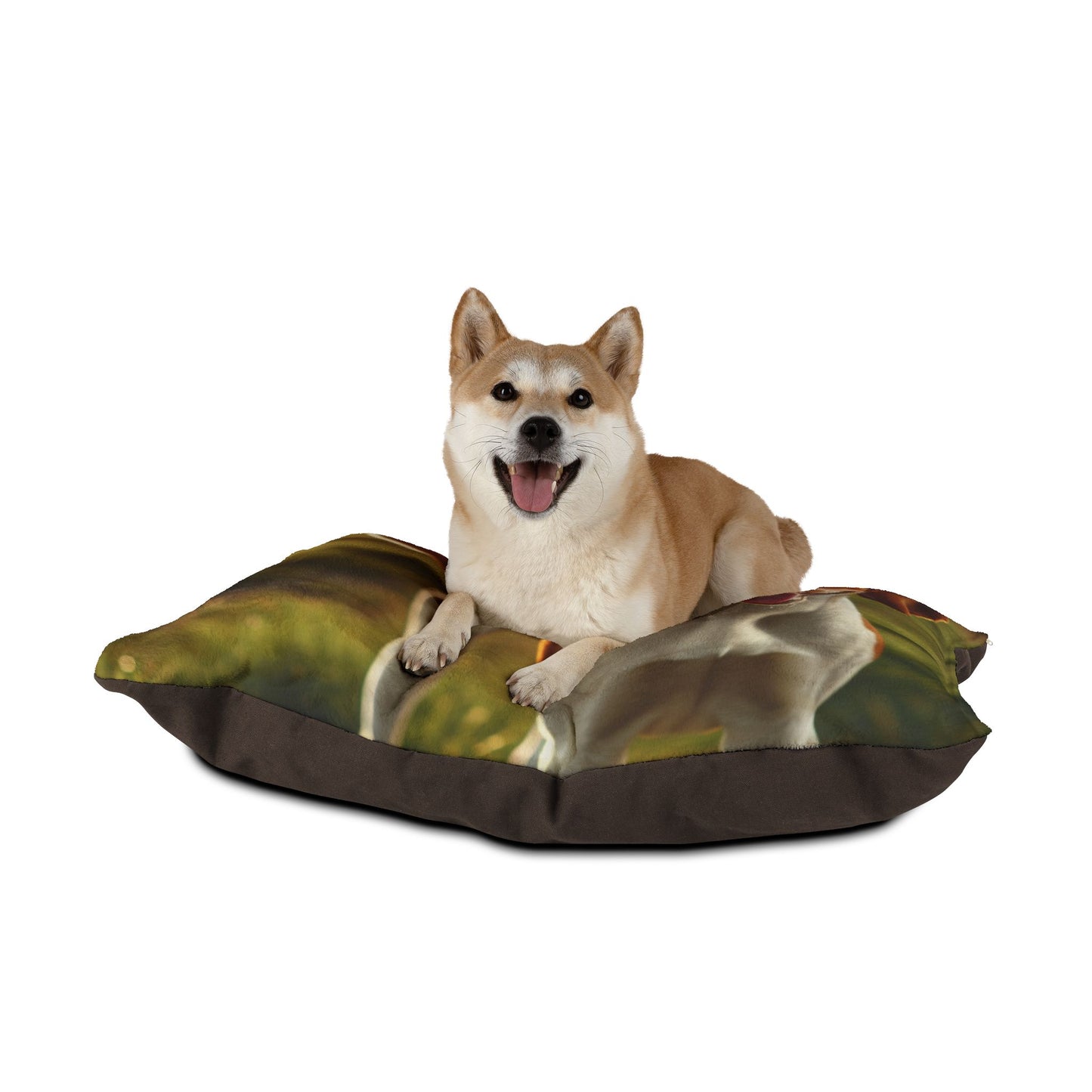Bracco Italiano Pet Bed