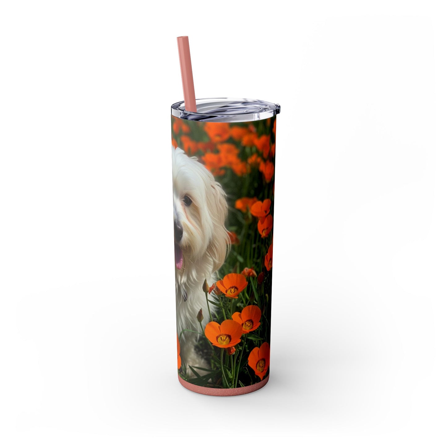 Havanese Tumbler with Straw, 20oz