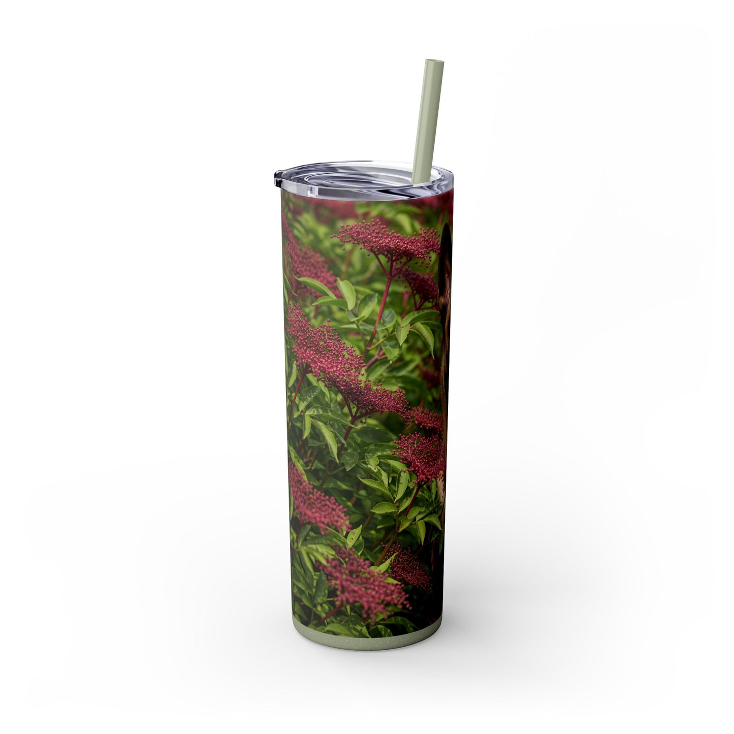 Belgian Shepherd Dog Malinois Tumbler with Straw, 20oz