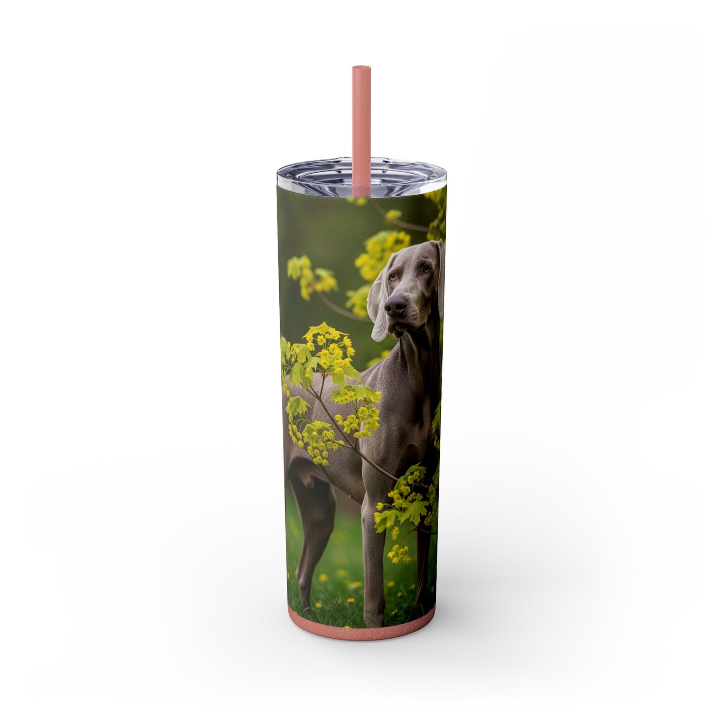 Weimaraner Skinny Tumbler with Straw, 20oz