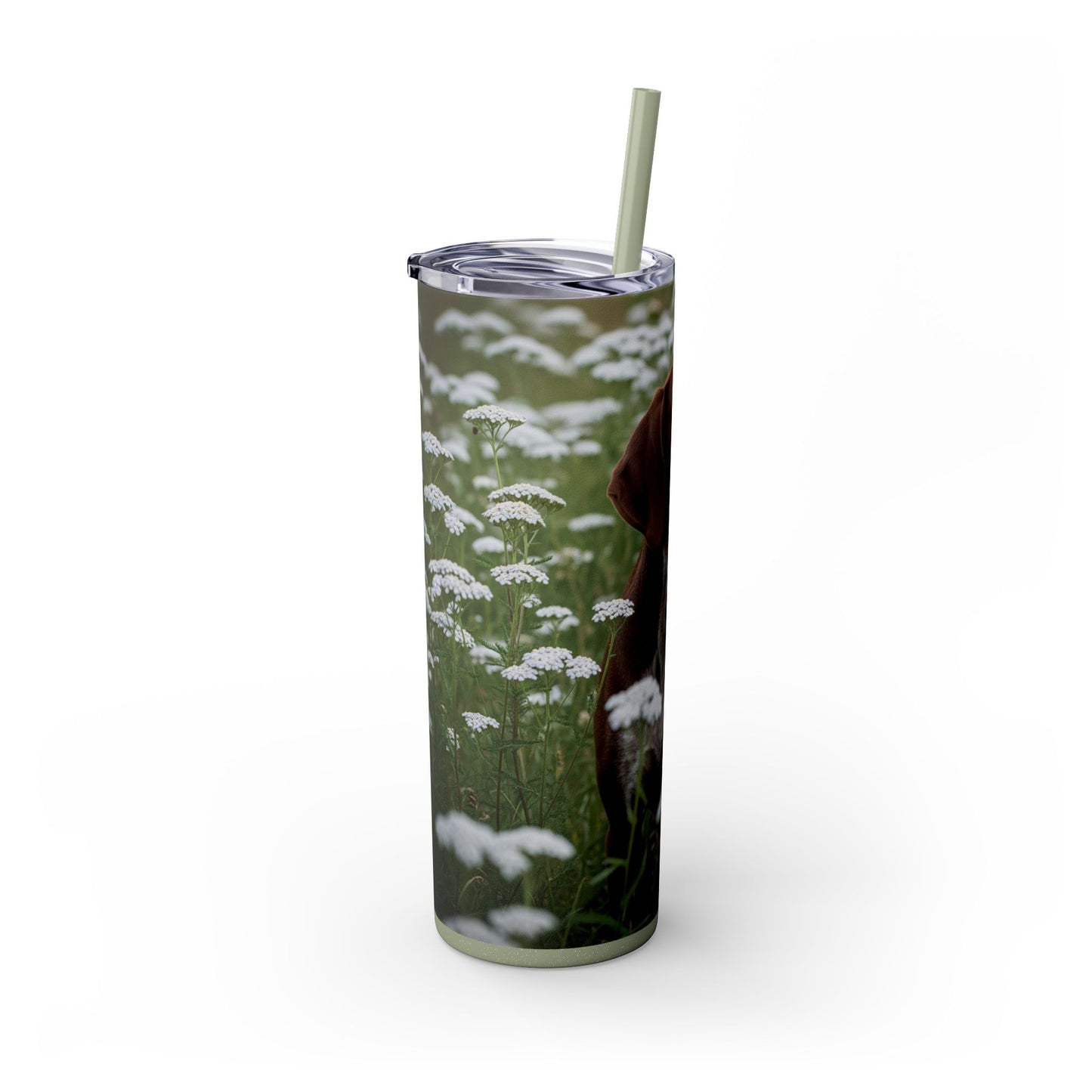 Braque du Bourbonnais Tumbler with Straw, 20oz