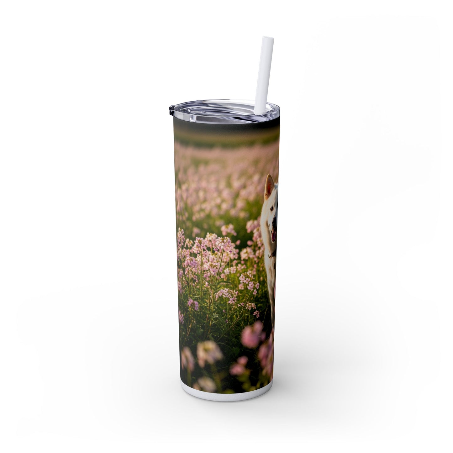 Kishu Ken Tumbler with Straw, 20oz