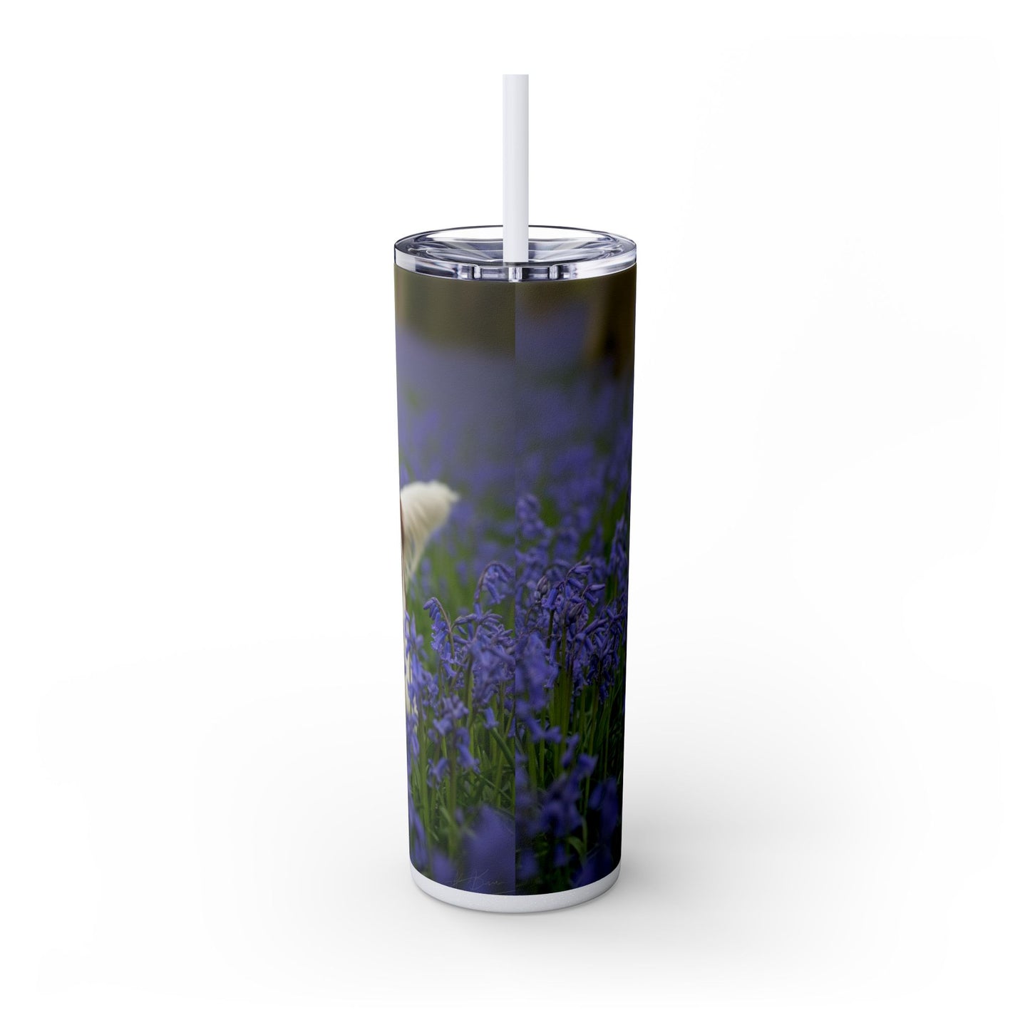 Welsh Springer Spaniel Skinny Tumbler with Straw, 20oz