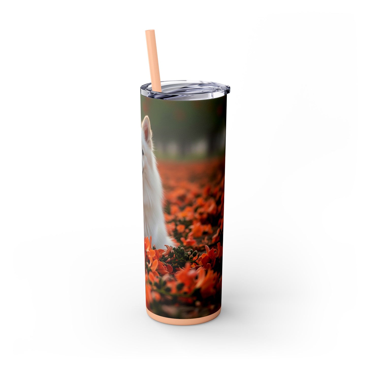 Indian Spitz Tumbler with Straw, 20oz