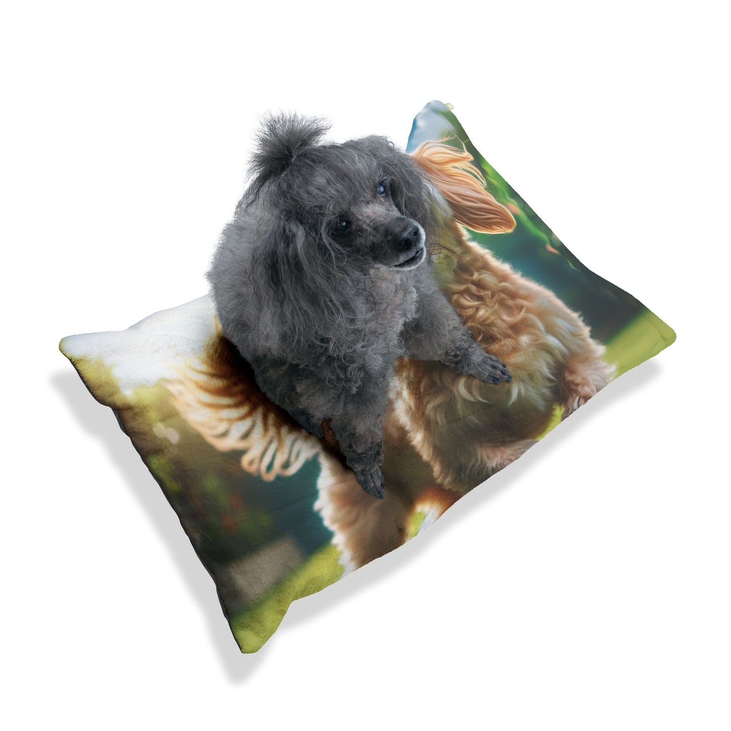 Cavoodle Pet Bed