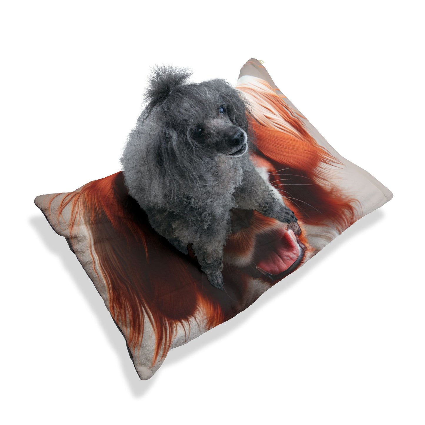 Irish Red and White Setter Pet Bed