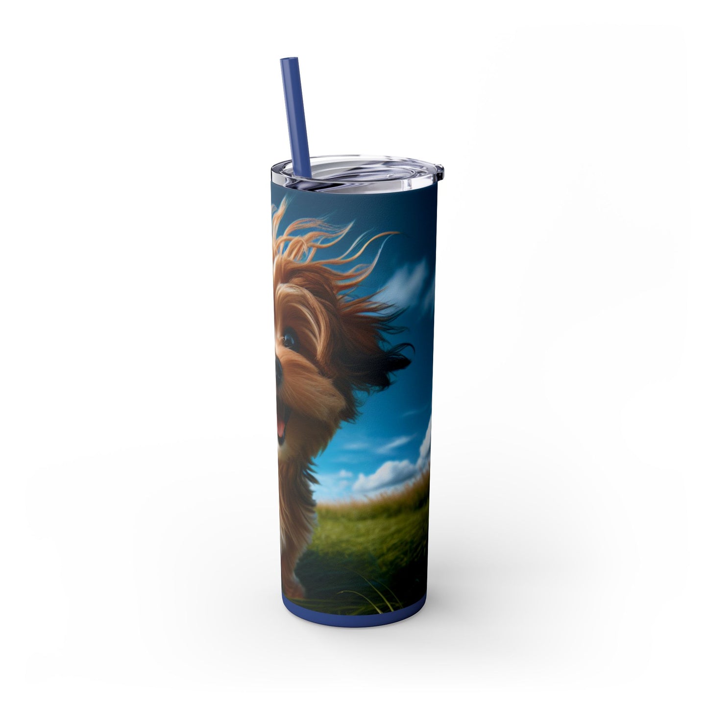 Kaikadi Tumbler with Straw, 20oz