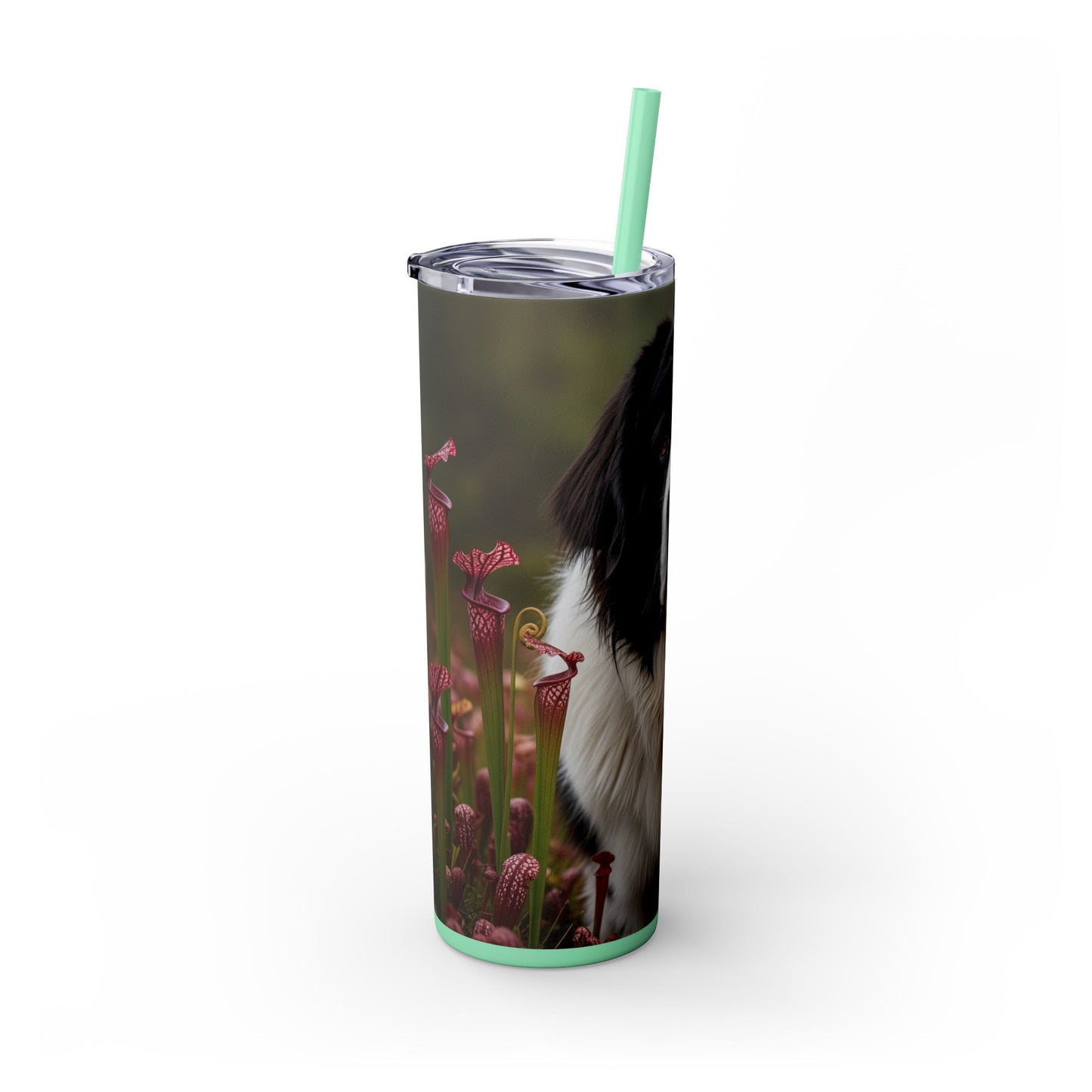 Landseer Tumbler with Straw, 20oz