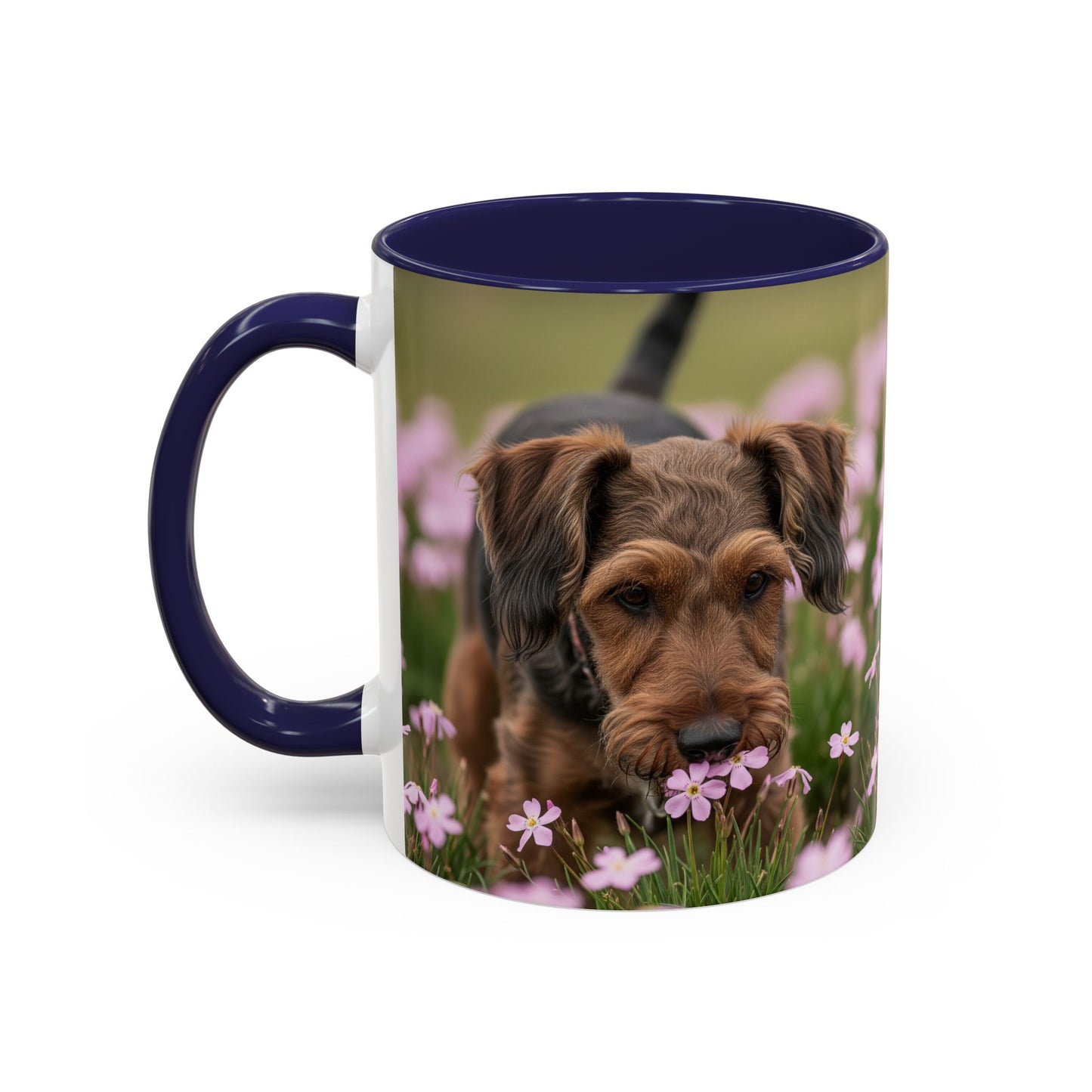 Cesky Terrier Accent Coffee Mug - Perfect Gift for Dog Lovers